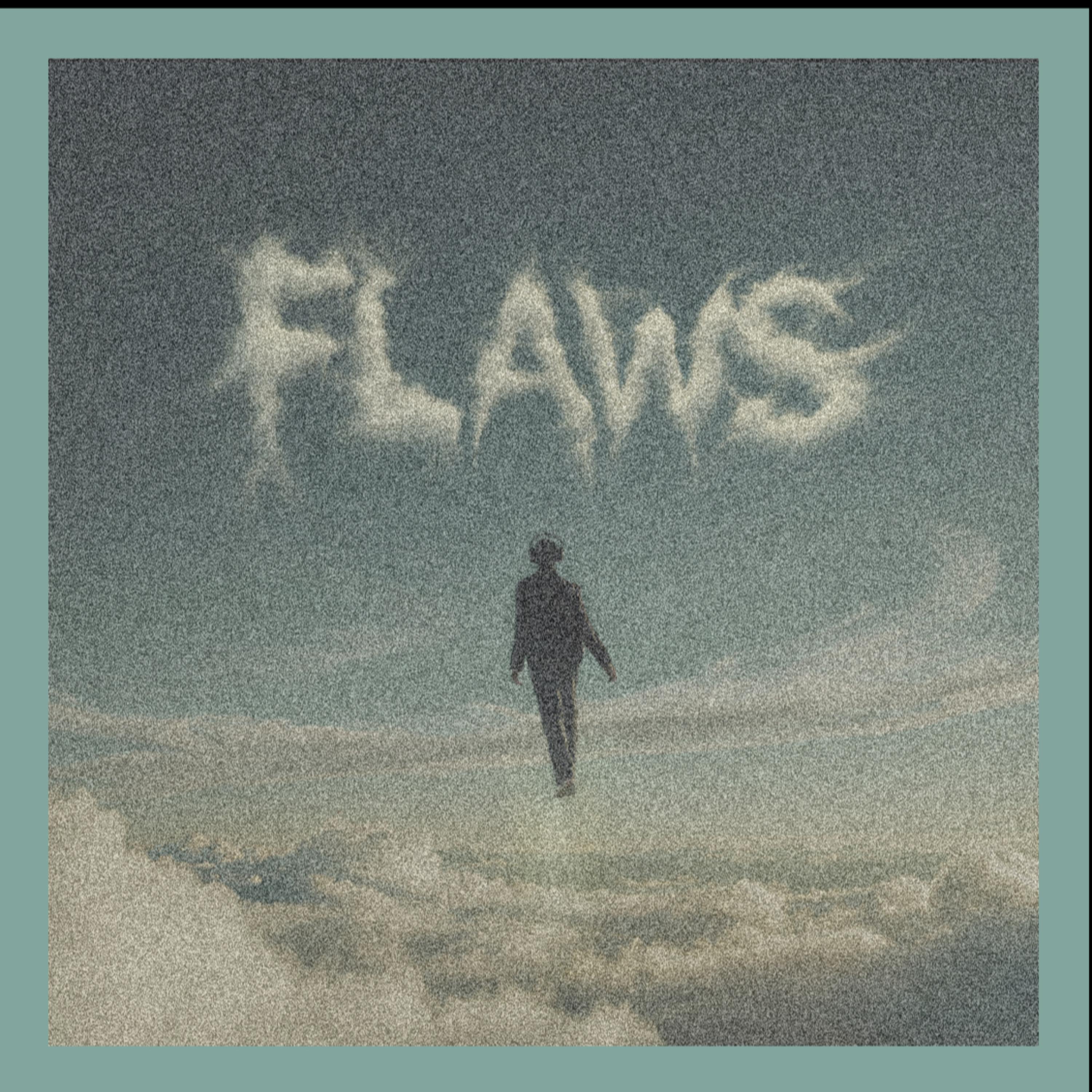FLAWS artwork