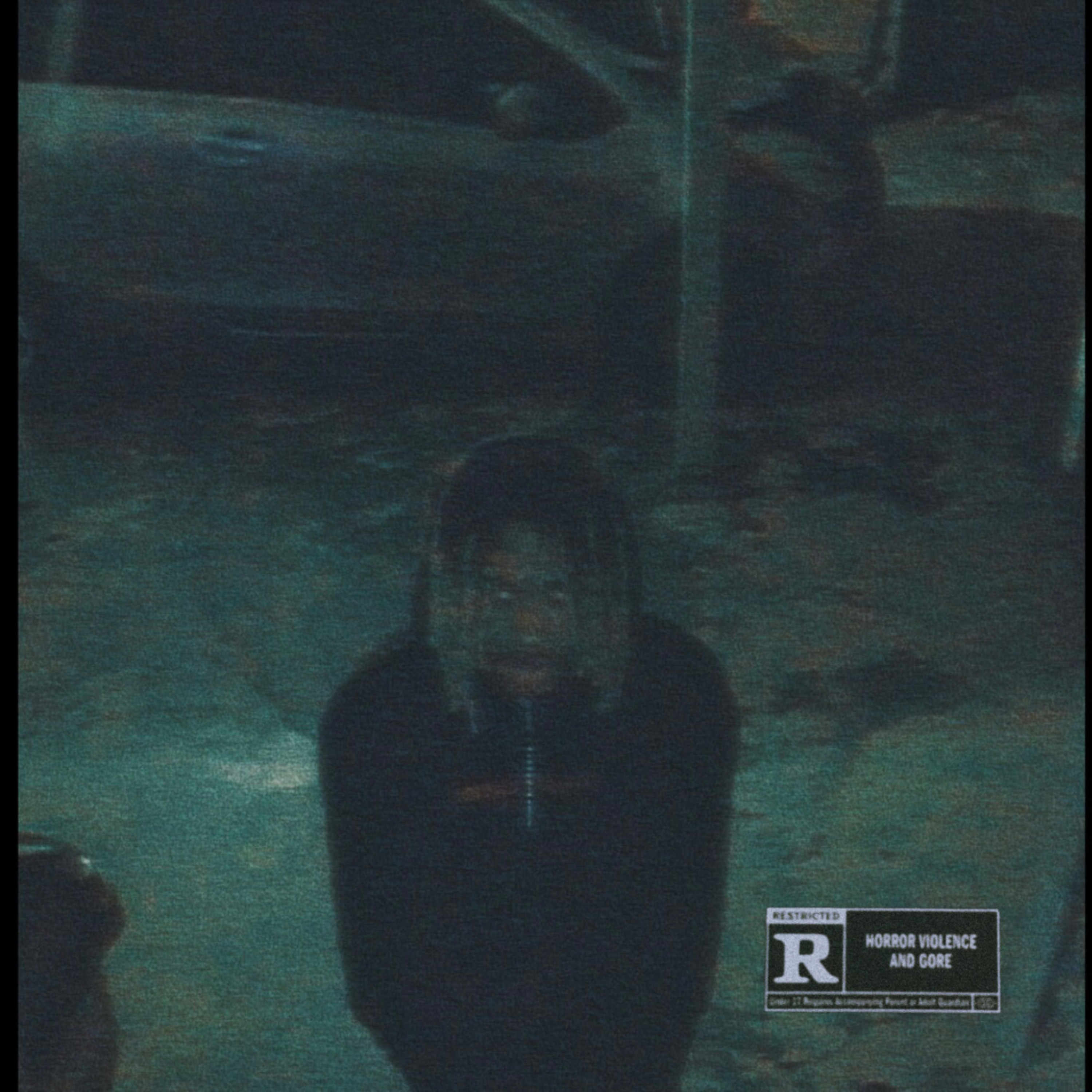 SHE NEVER NEEDED ME artwork