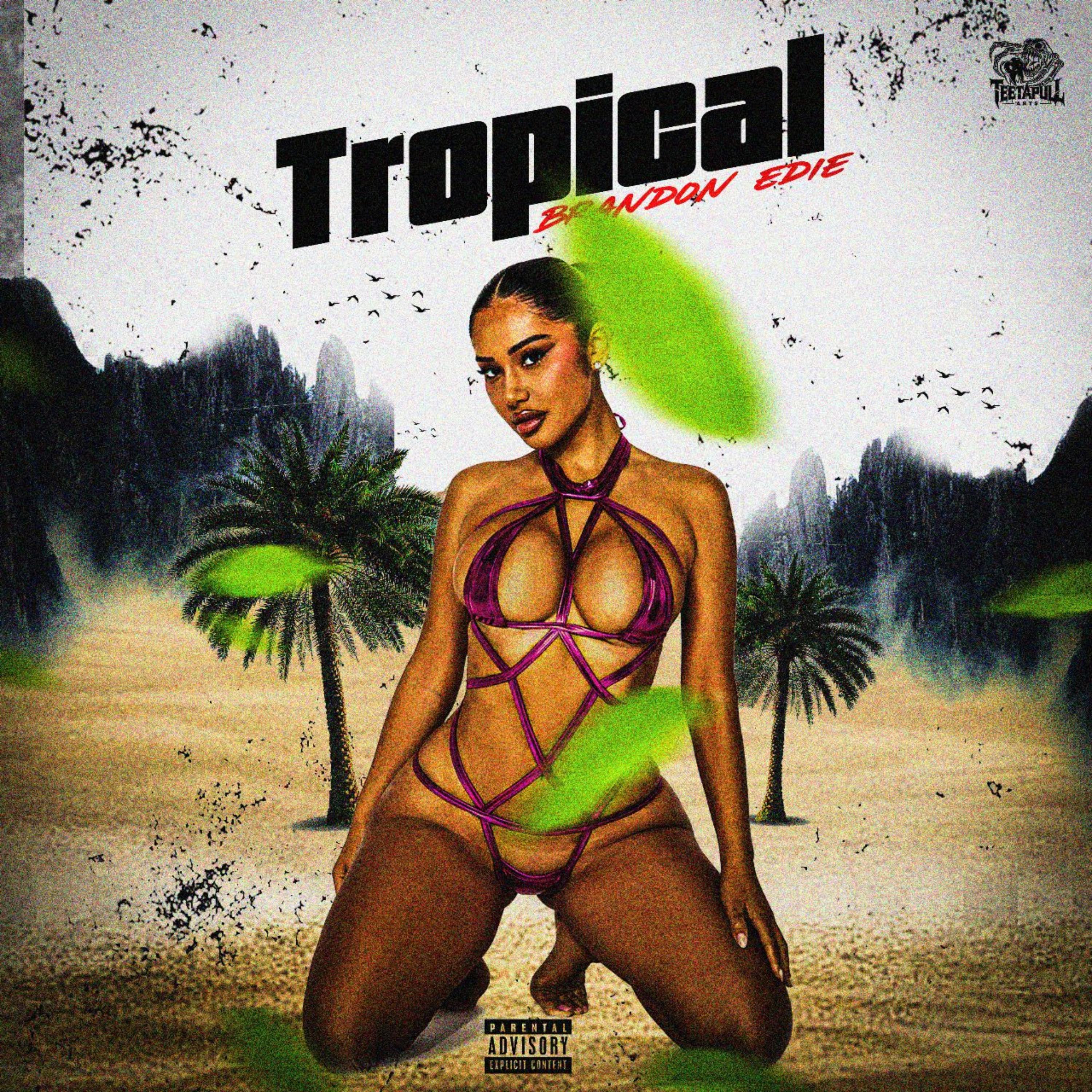 Tropical artwork
