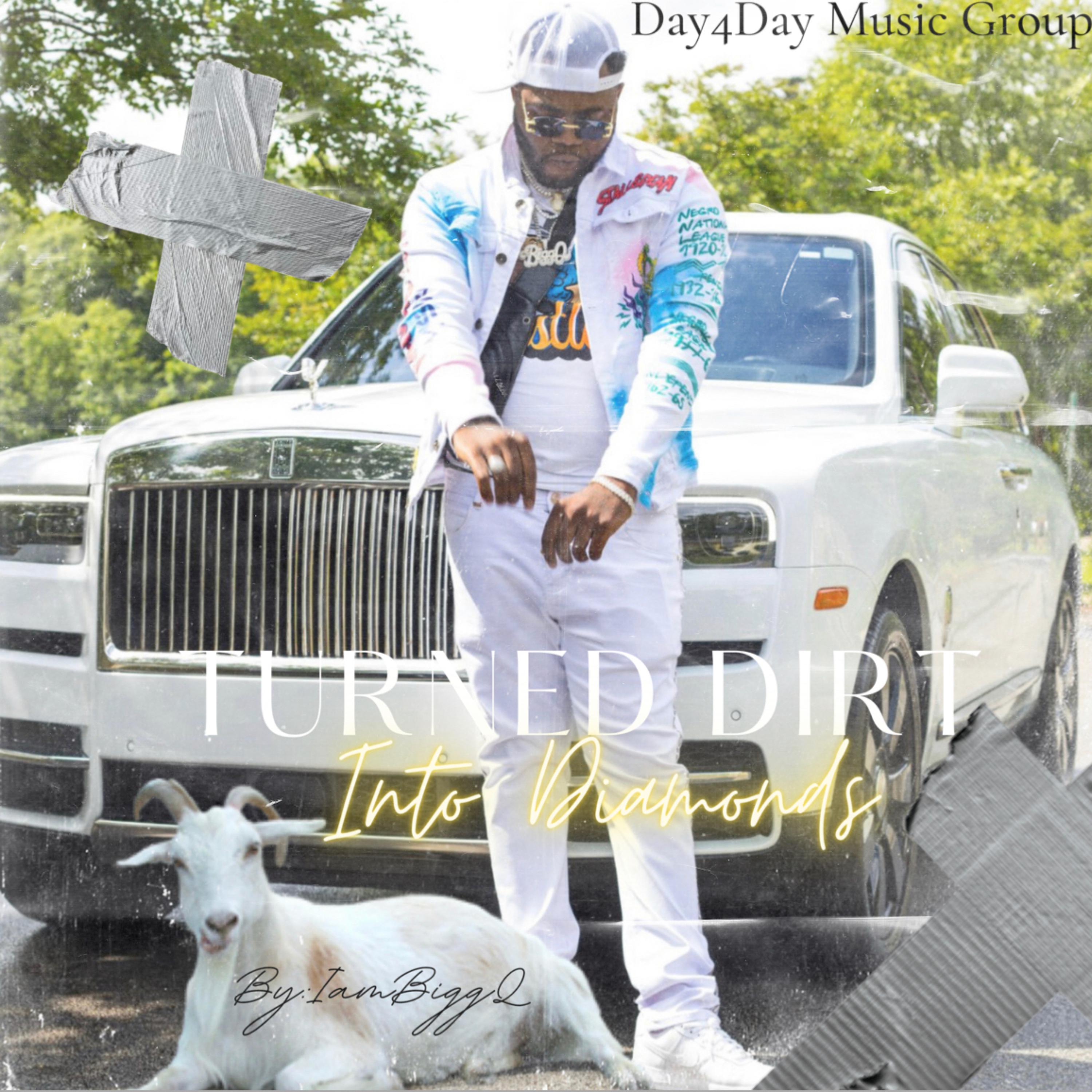 Turned Dirt Into Diamonds artwork