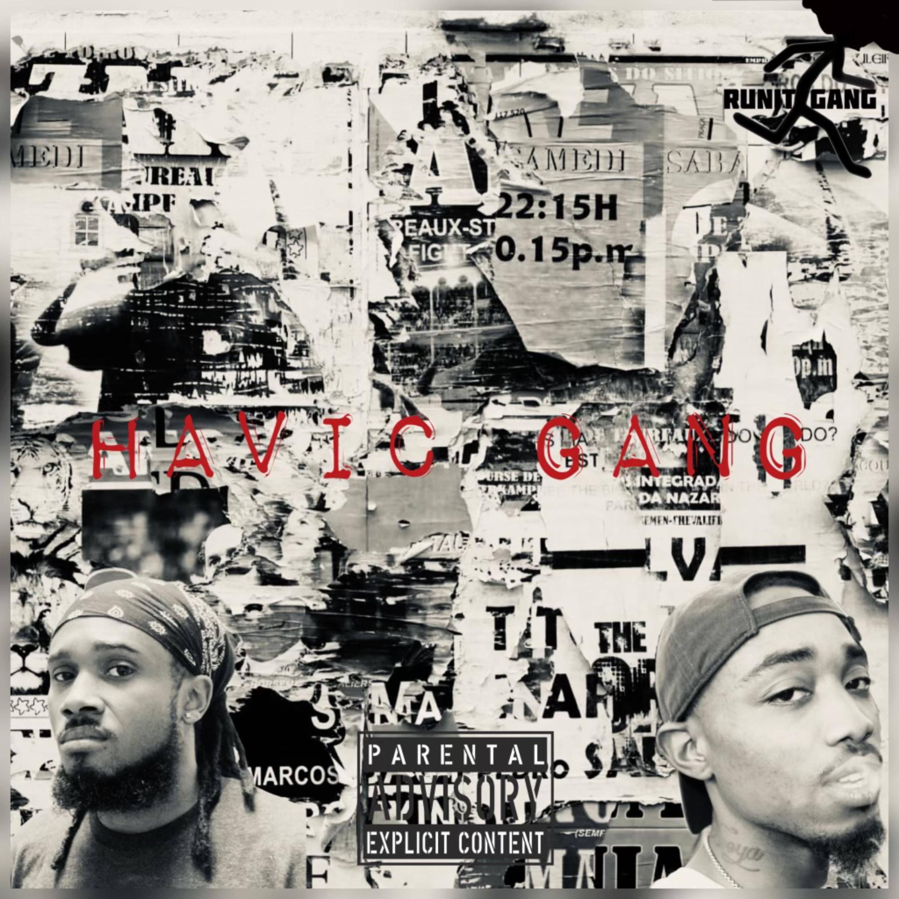 Havic Gang artwork