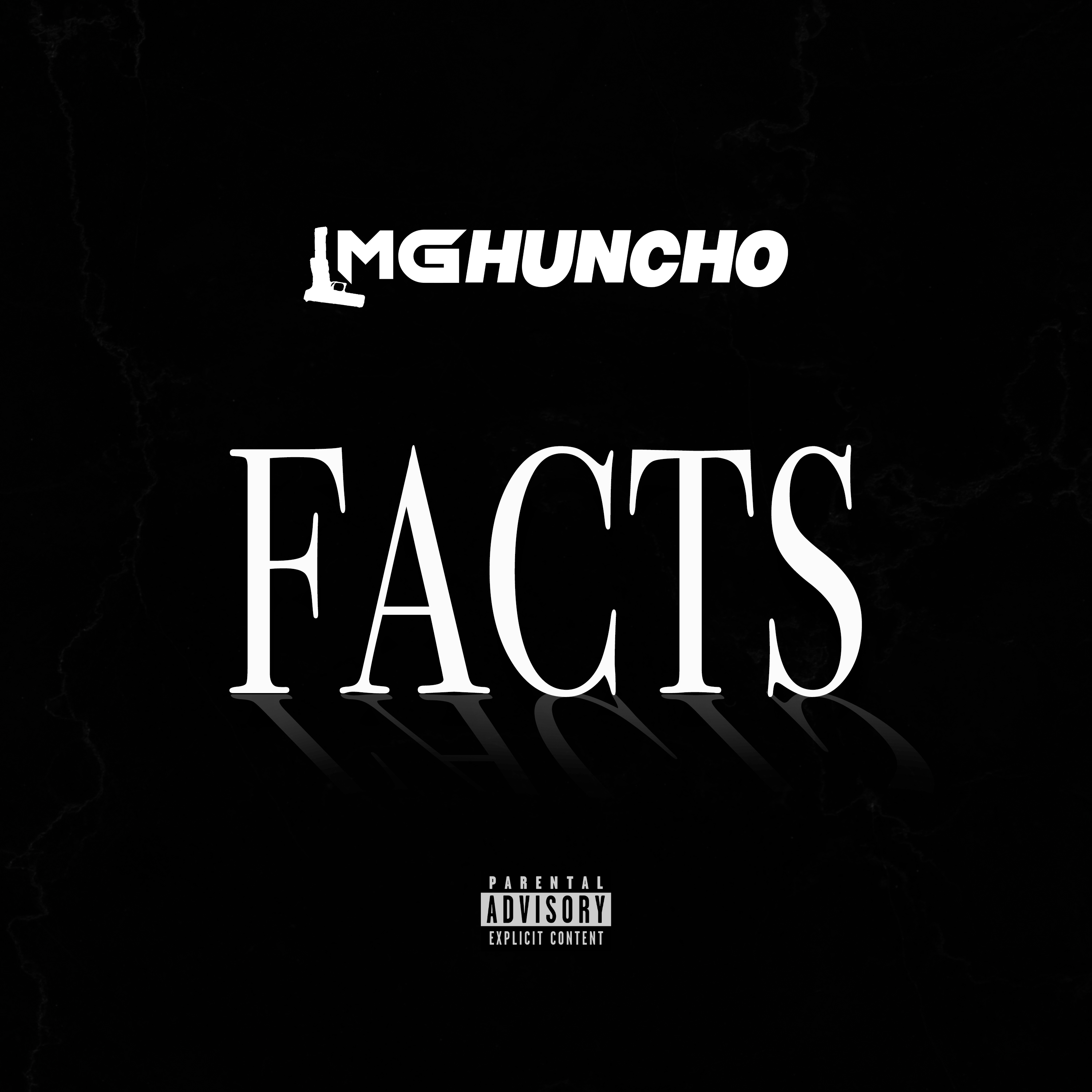 Facts artwork