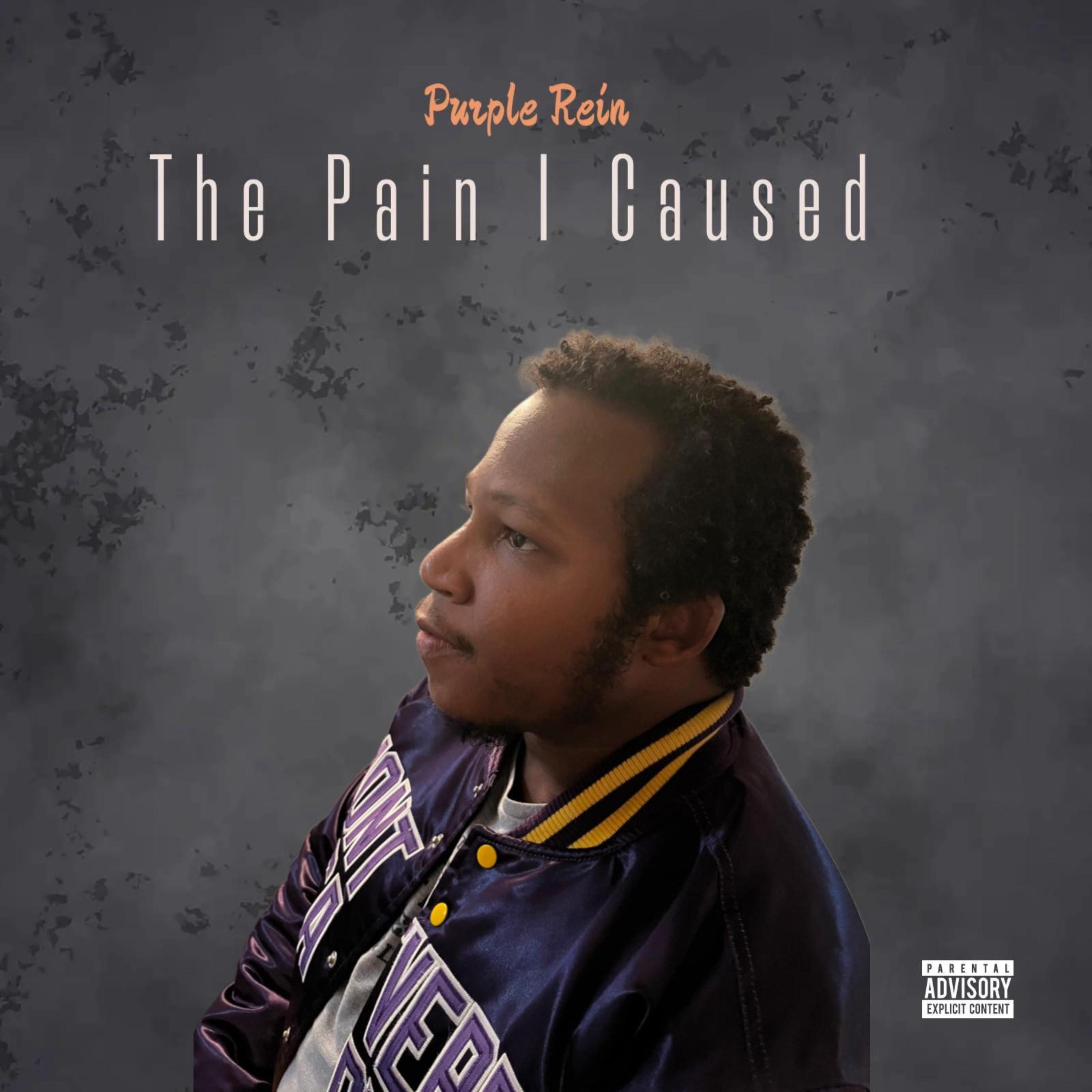 The Pain I Caused artwork