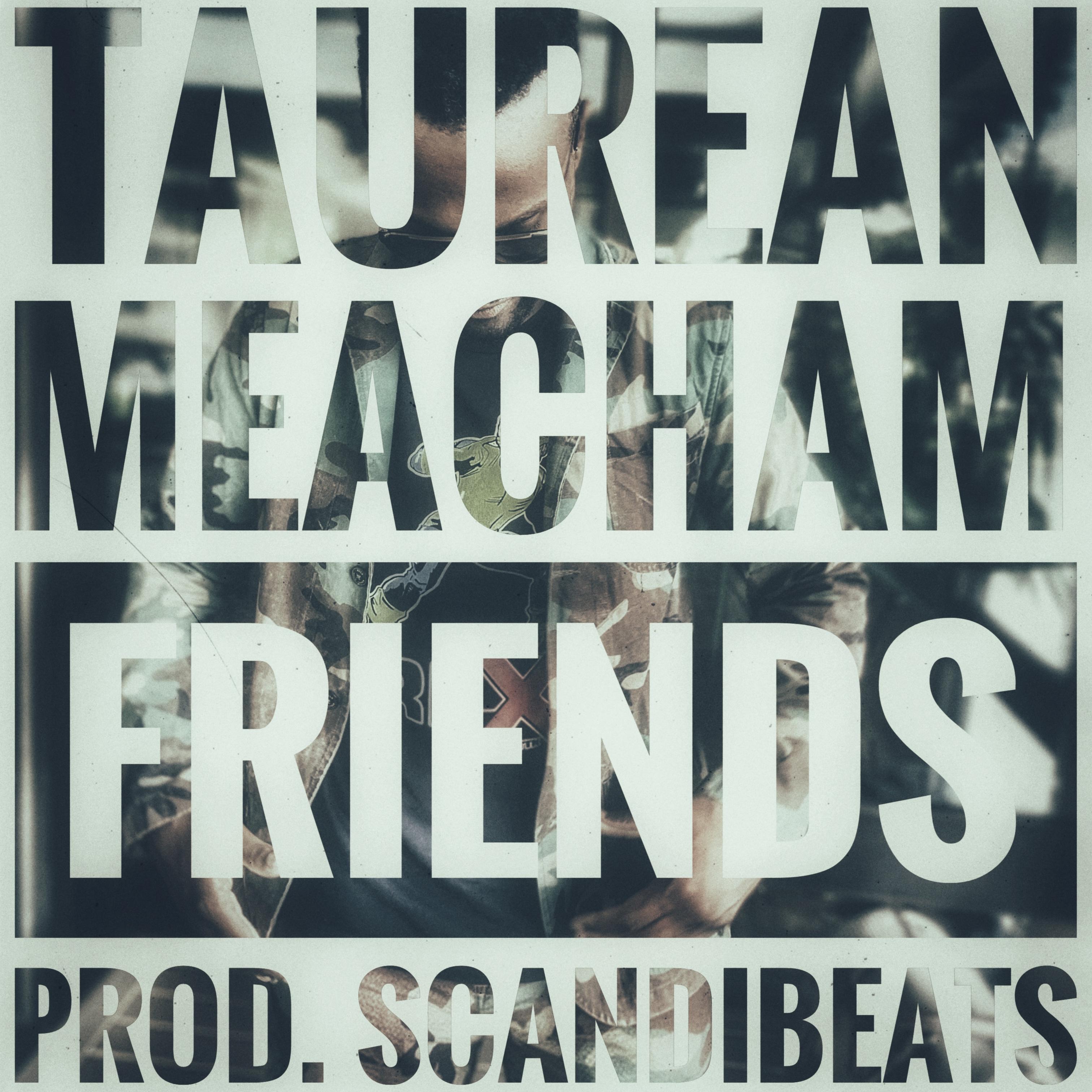 Friends (We Can Never Be) artwork