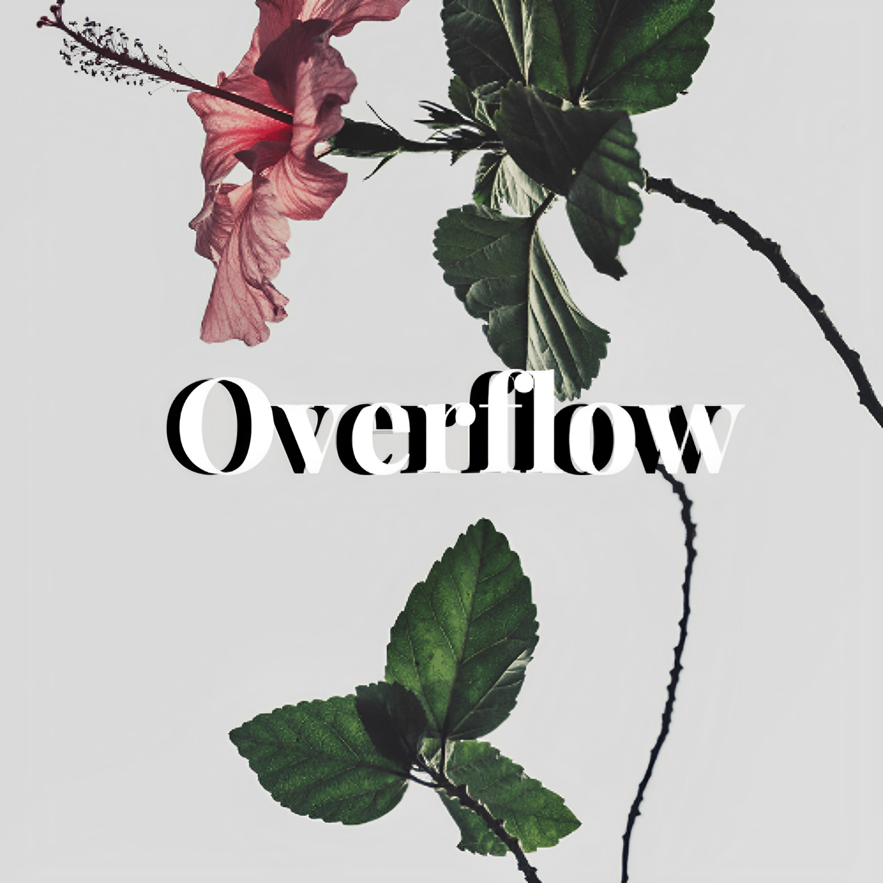 Overflow artwork