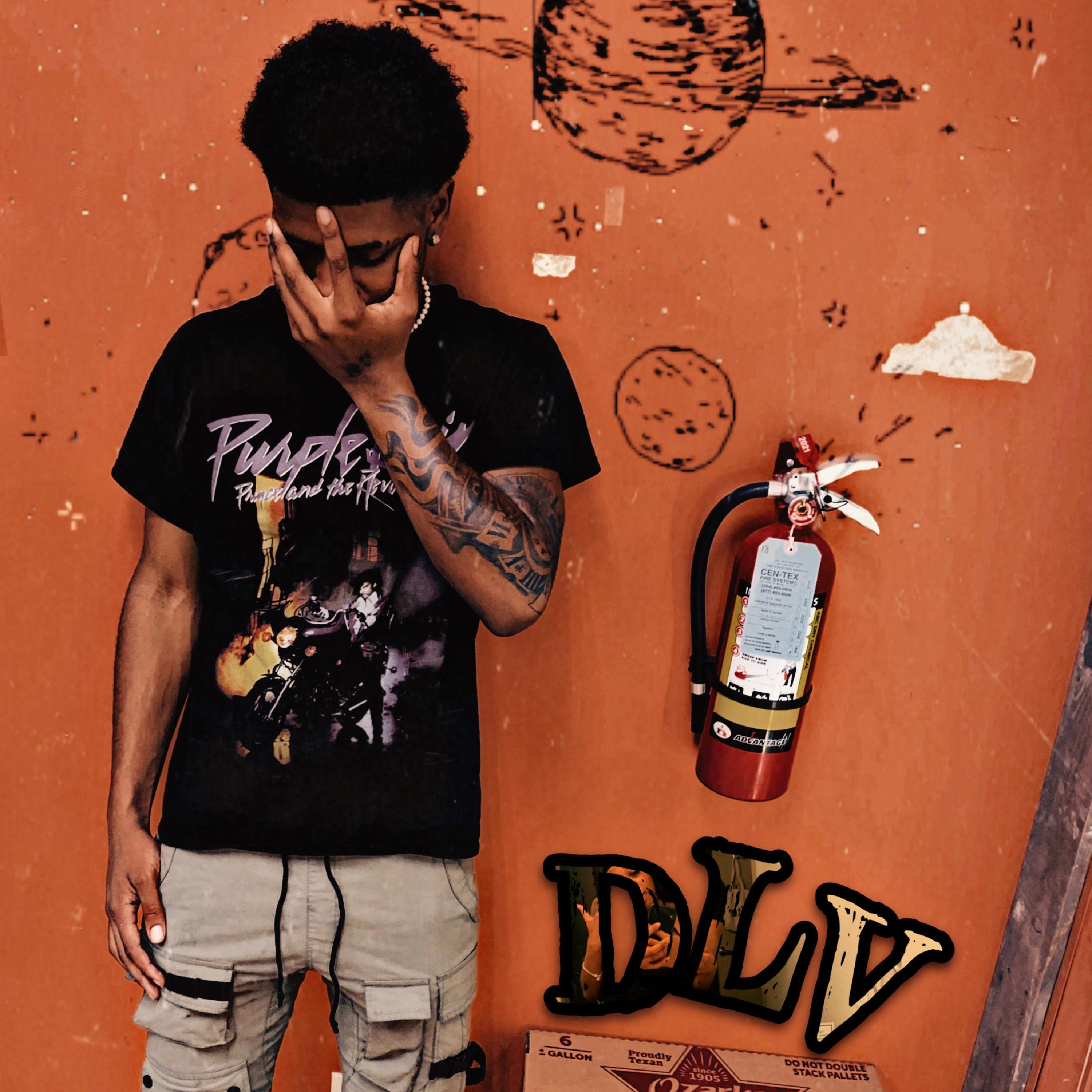 DLV artwork