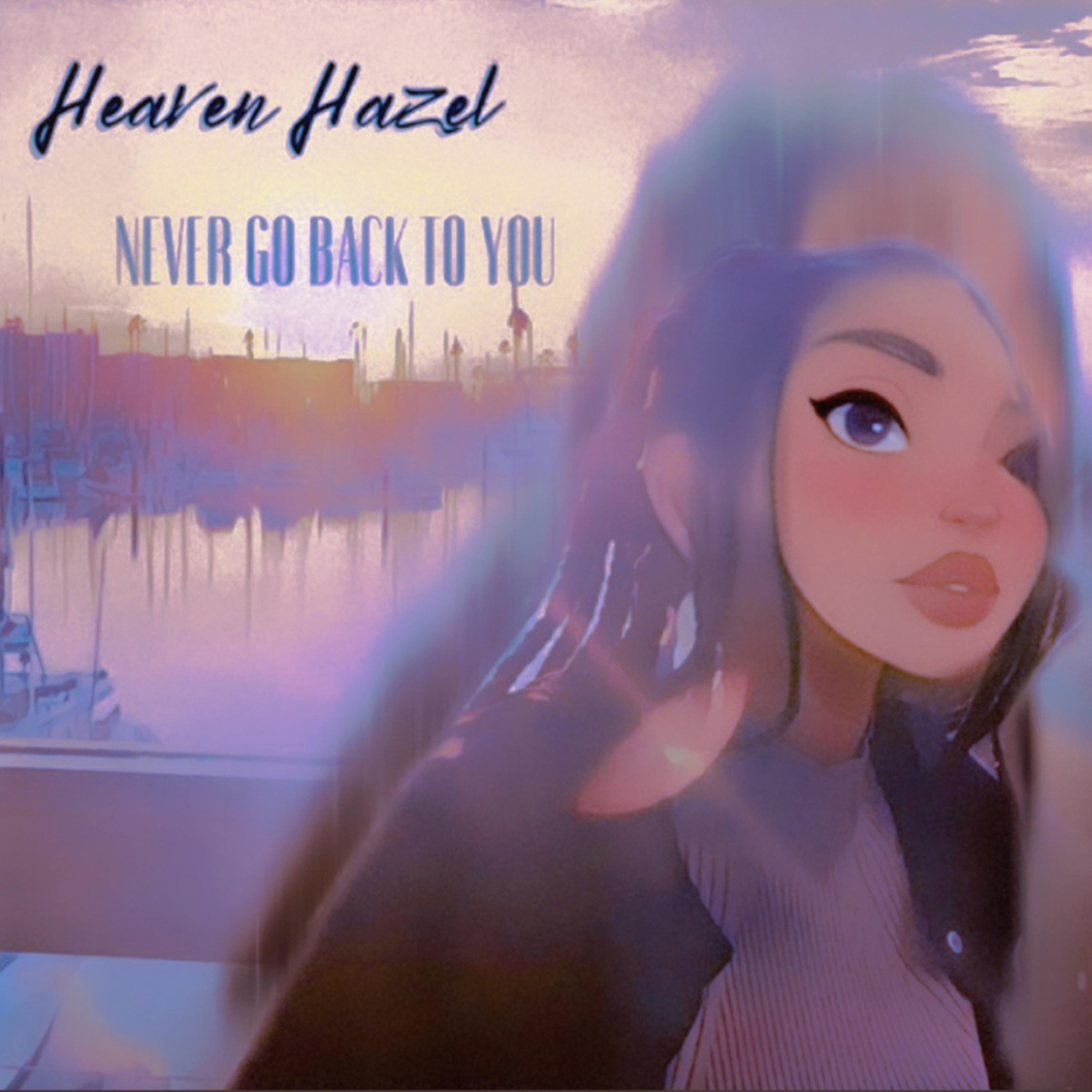 Never Go Back To You artwork
