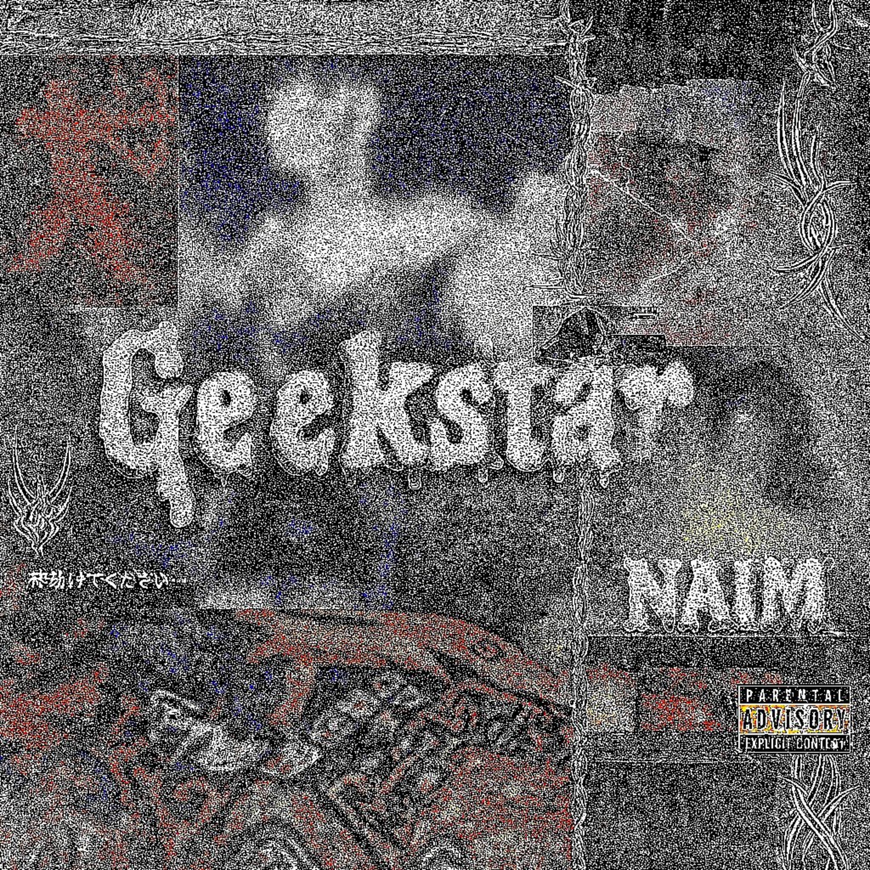 GEEKSTAR artwork