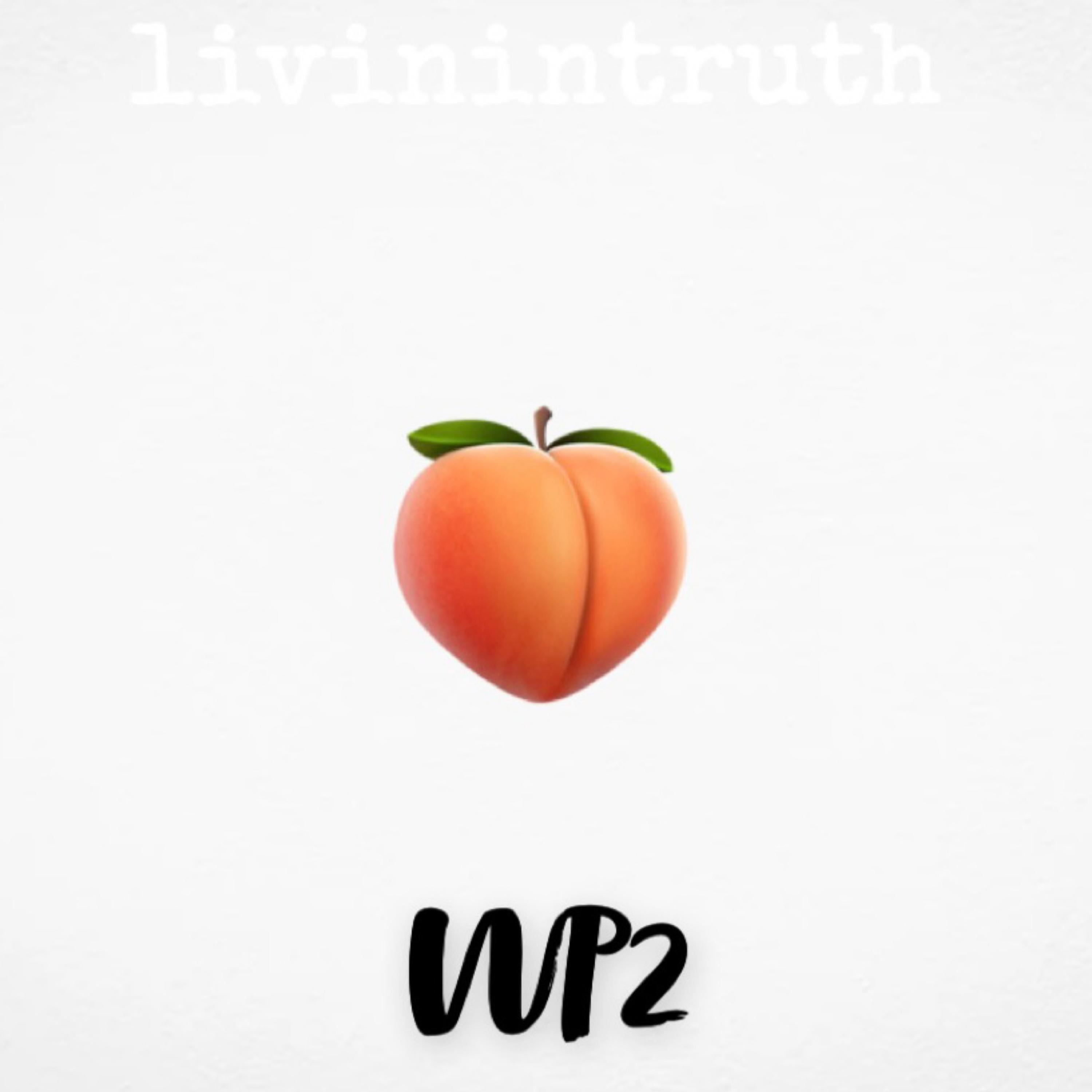WP2 by livinintruth  cover art