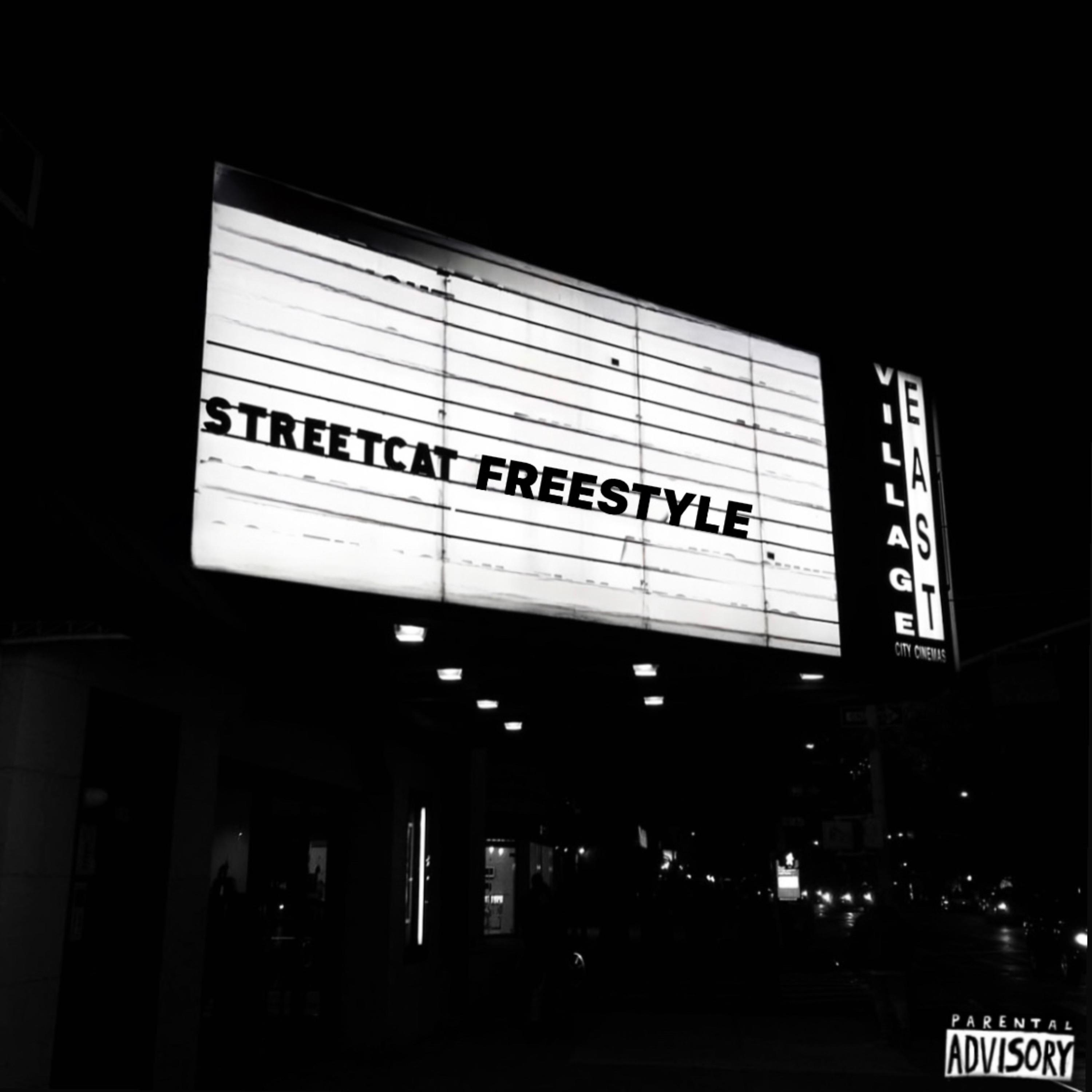 streetcat freestyle artwork