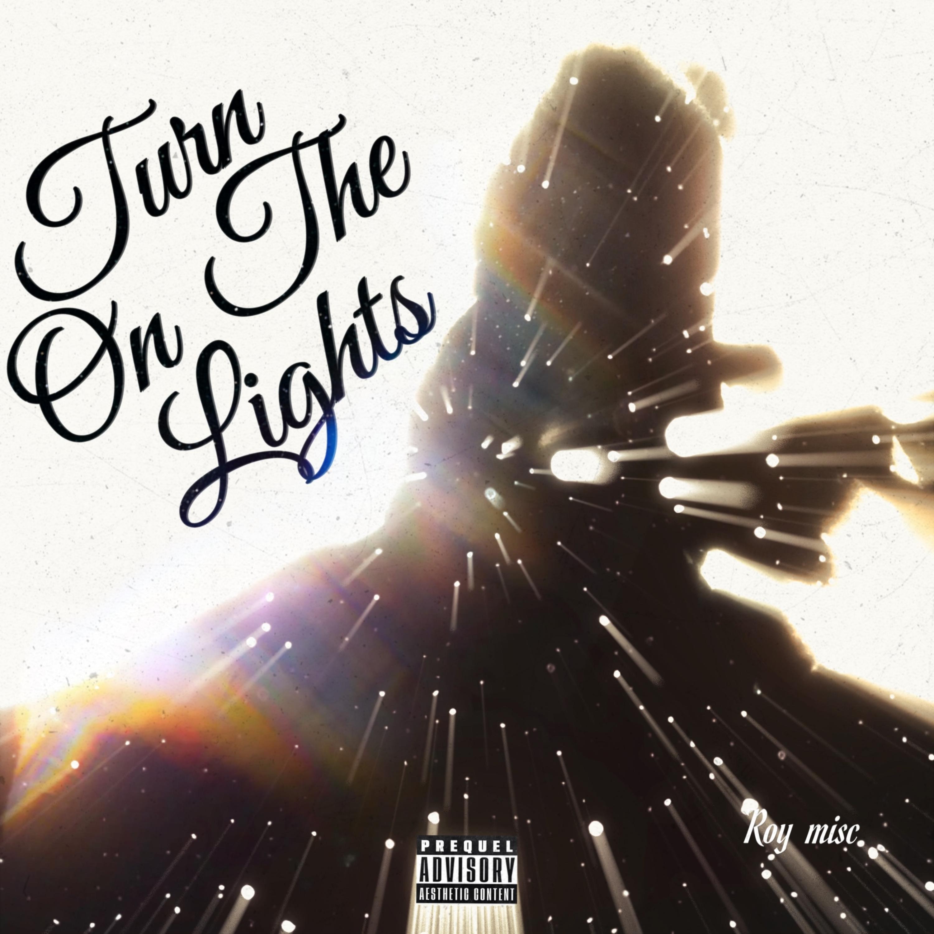 TURN ON THE LIGHTS artwork