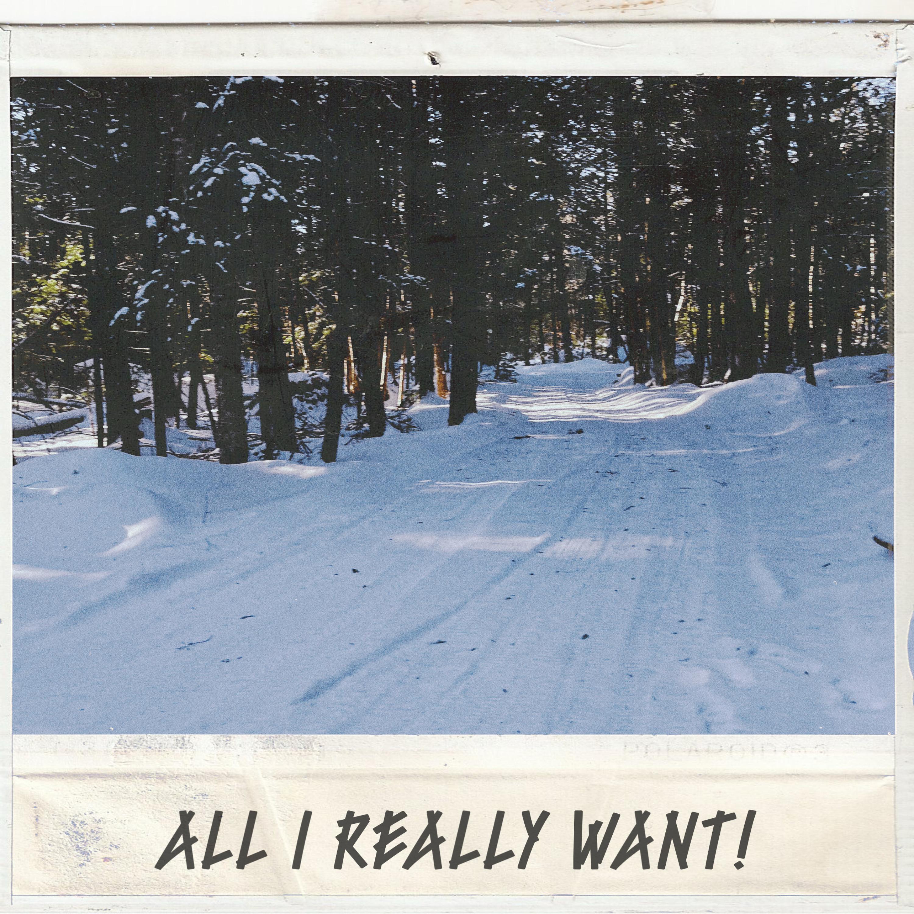 all i really want! artwork