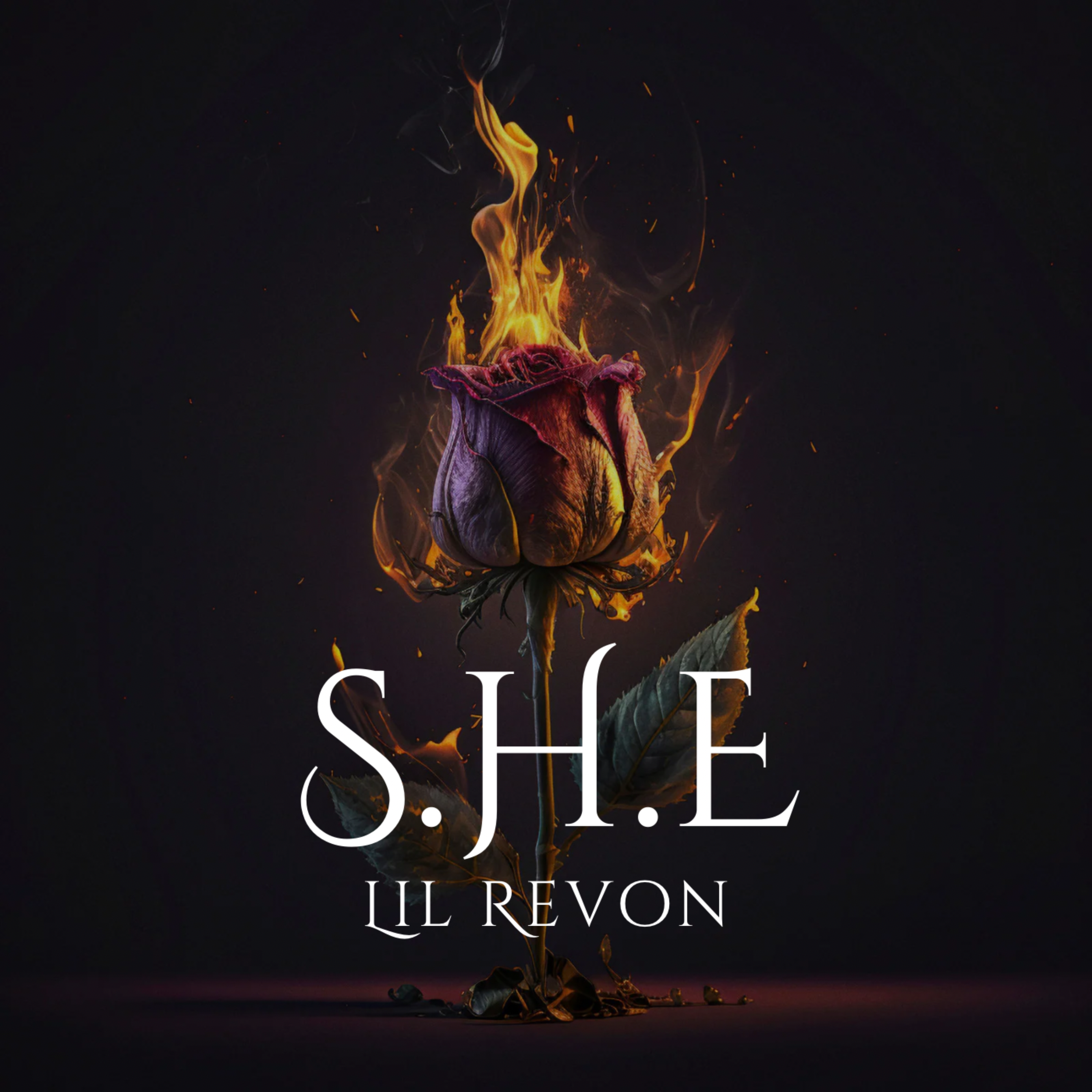 S.H.E artwork