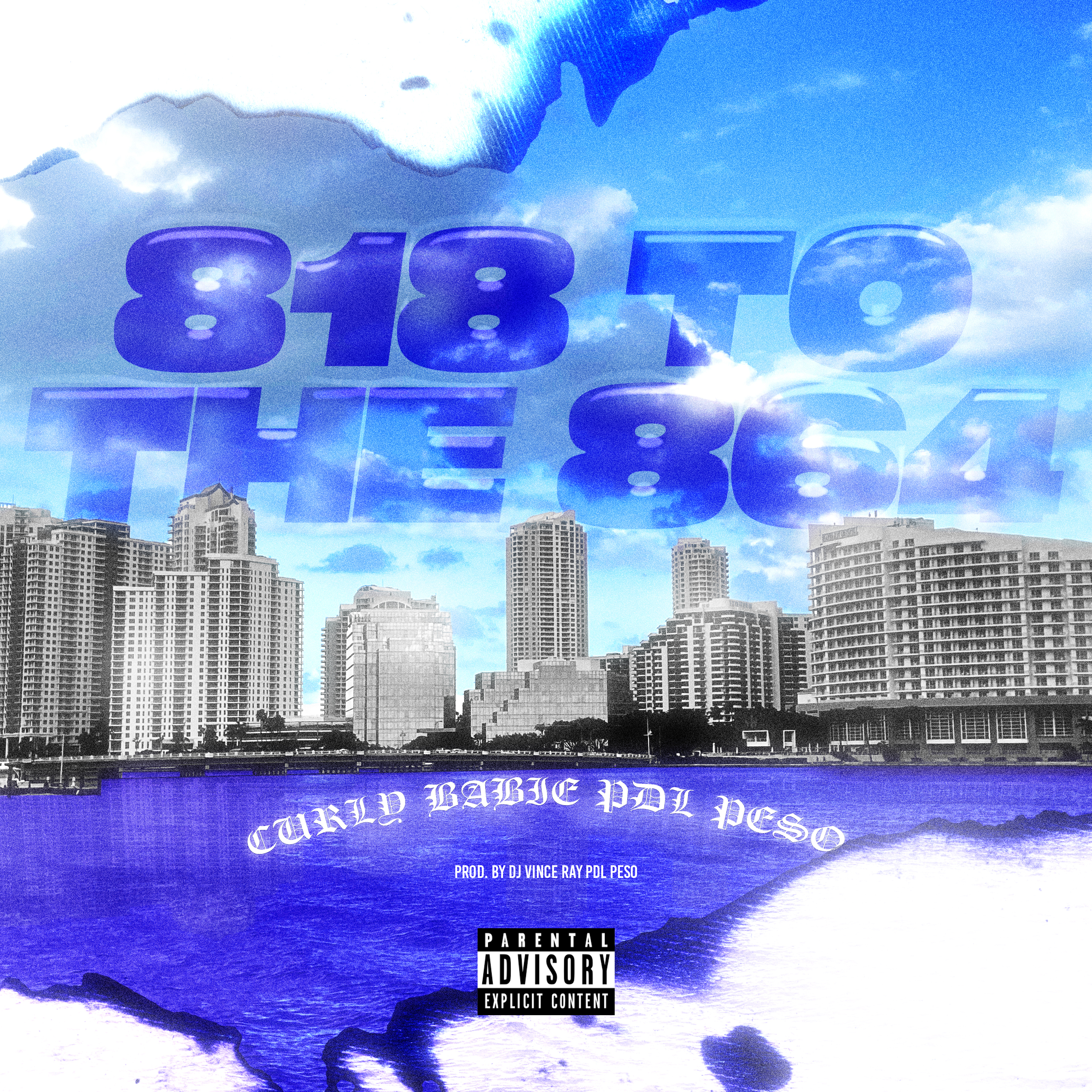 818 TO THE 864 artwork