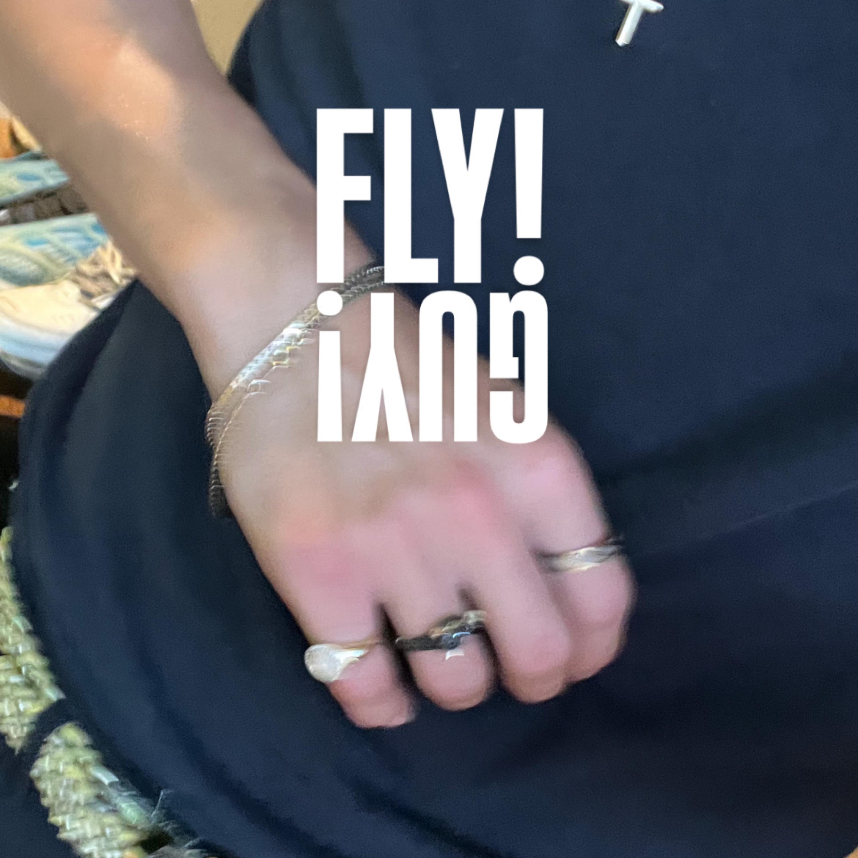 FLYGUY! artwork