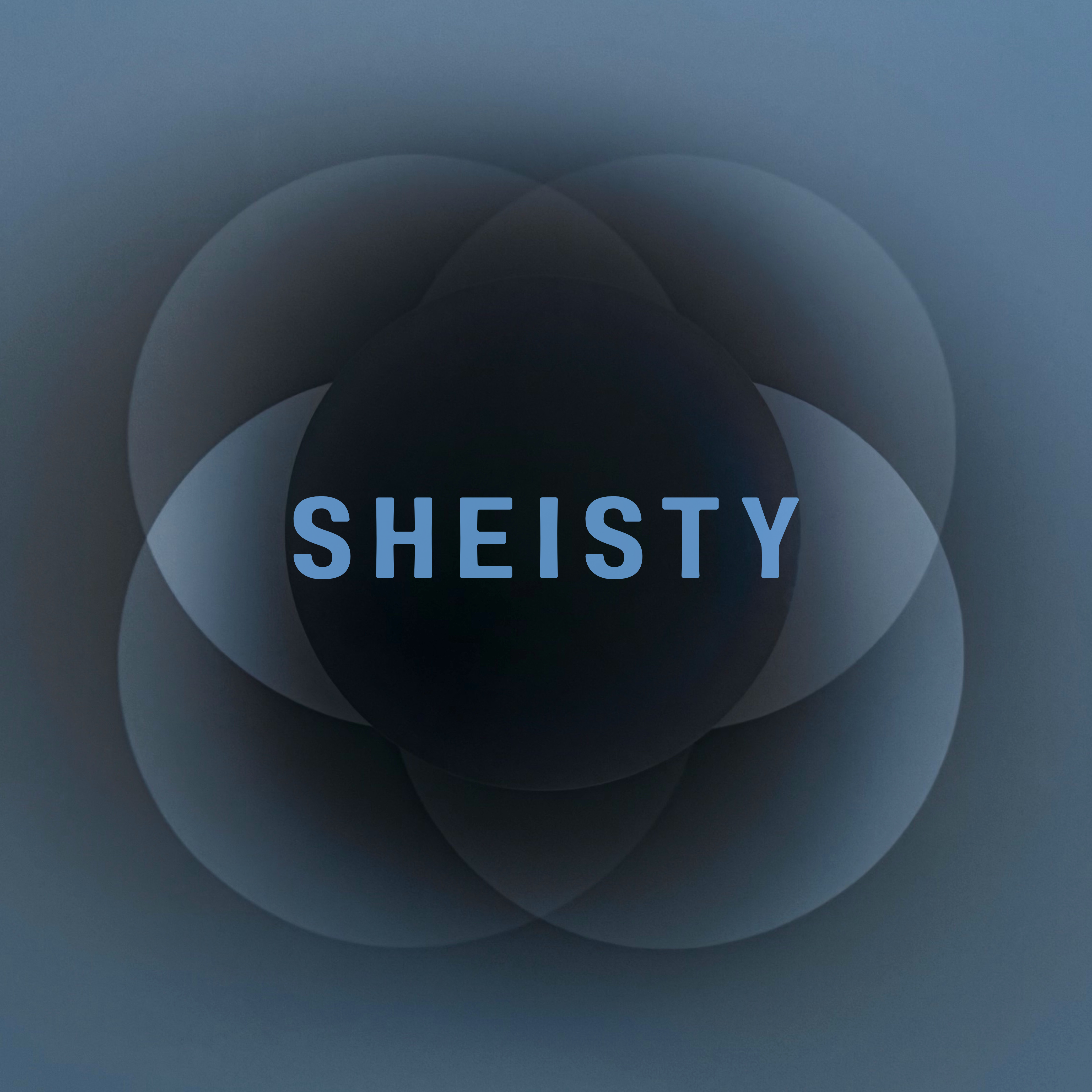 Sheisty artwork