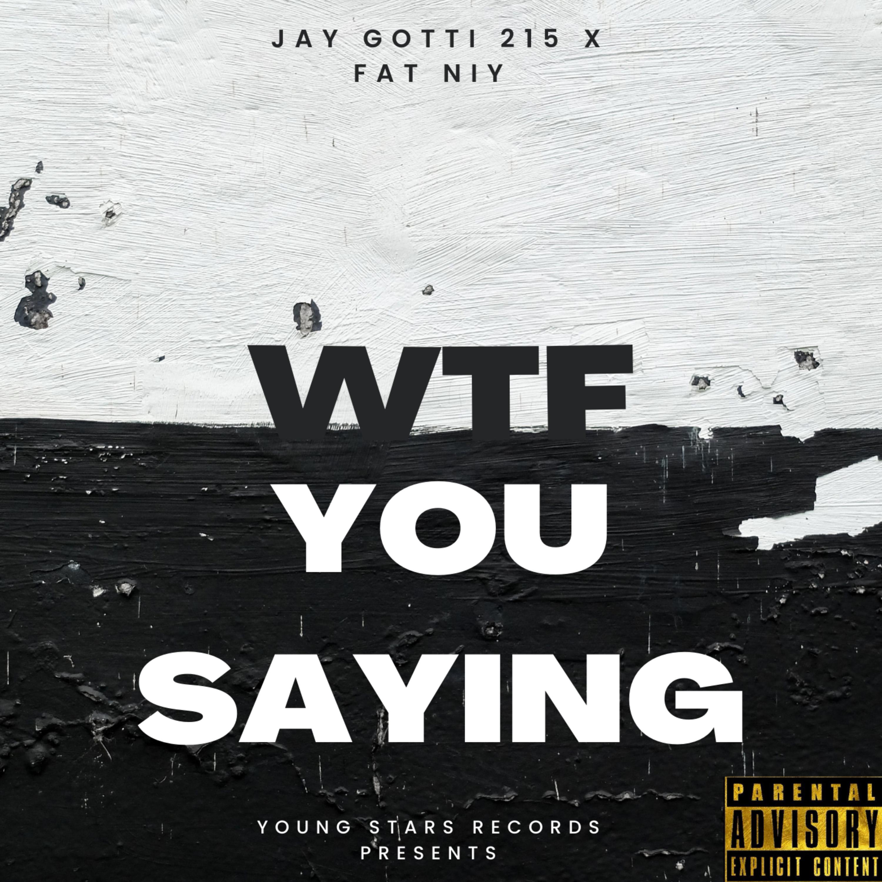 Wtf You Saying by Jay Gotti 215 cover art
