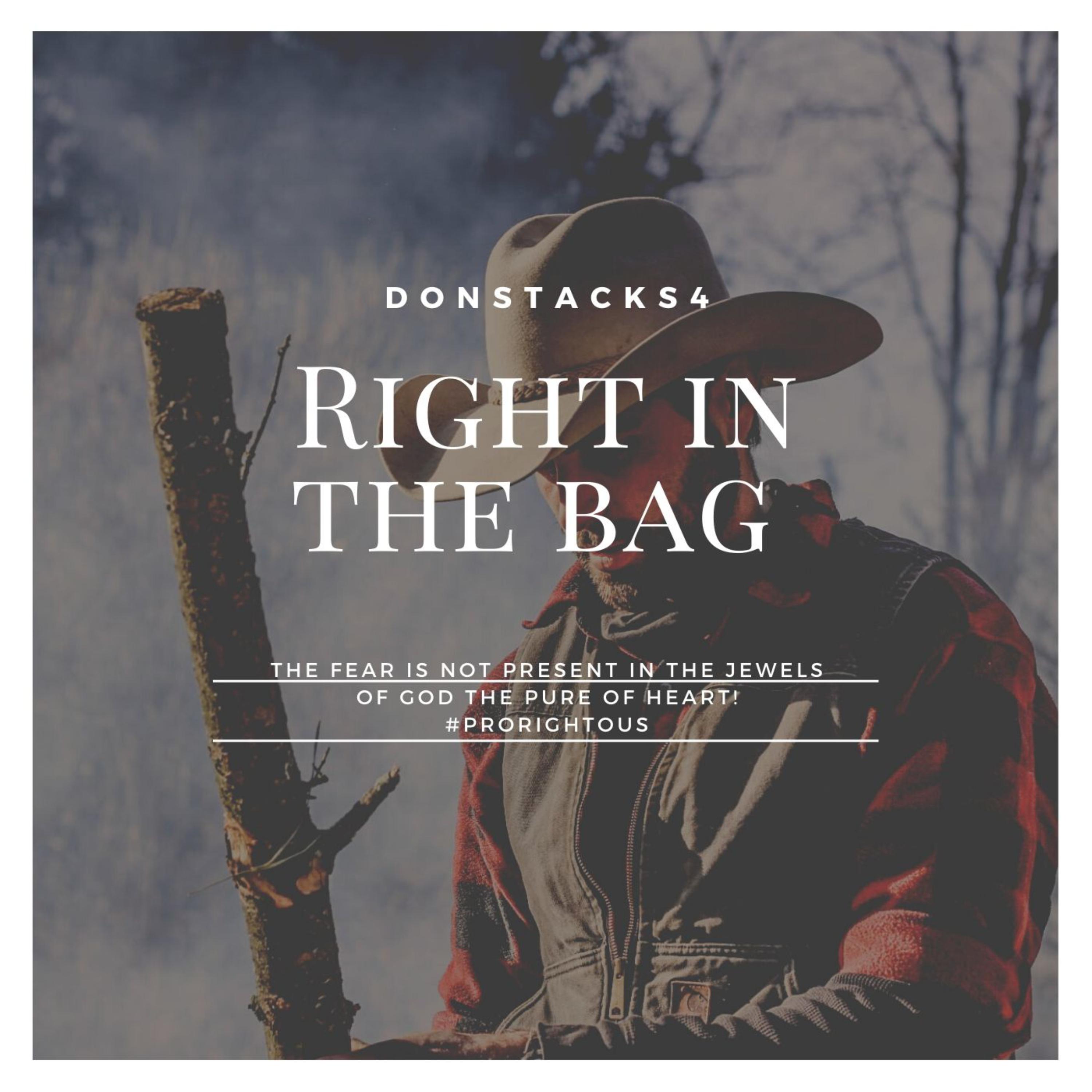 Right In The Bag artwork