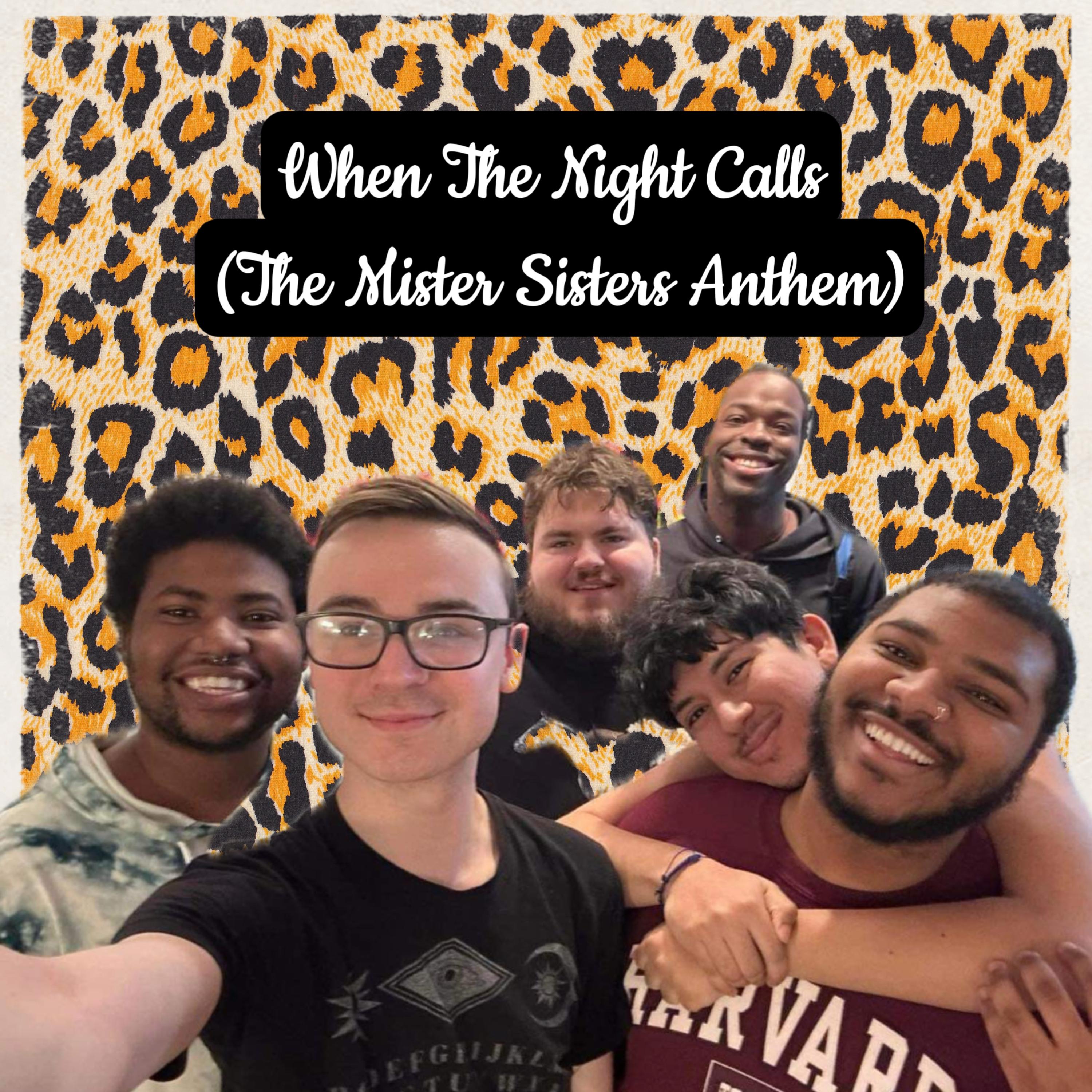 When The Night Calls (The Mister Sisters Anthem) artwork