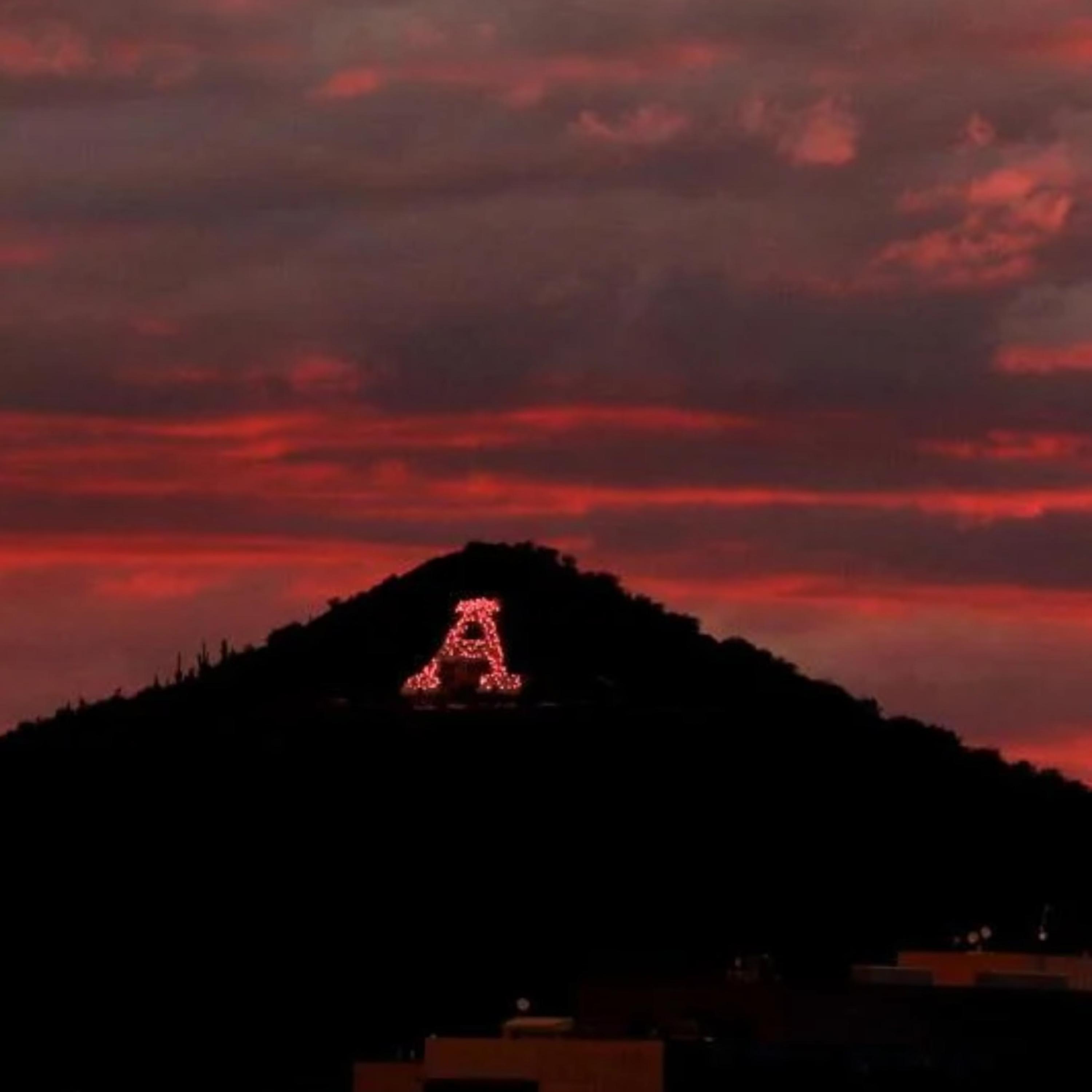Arizona artwork