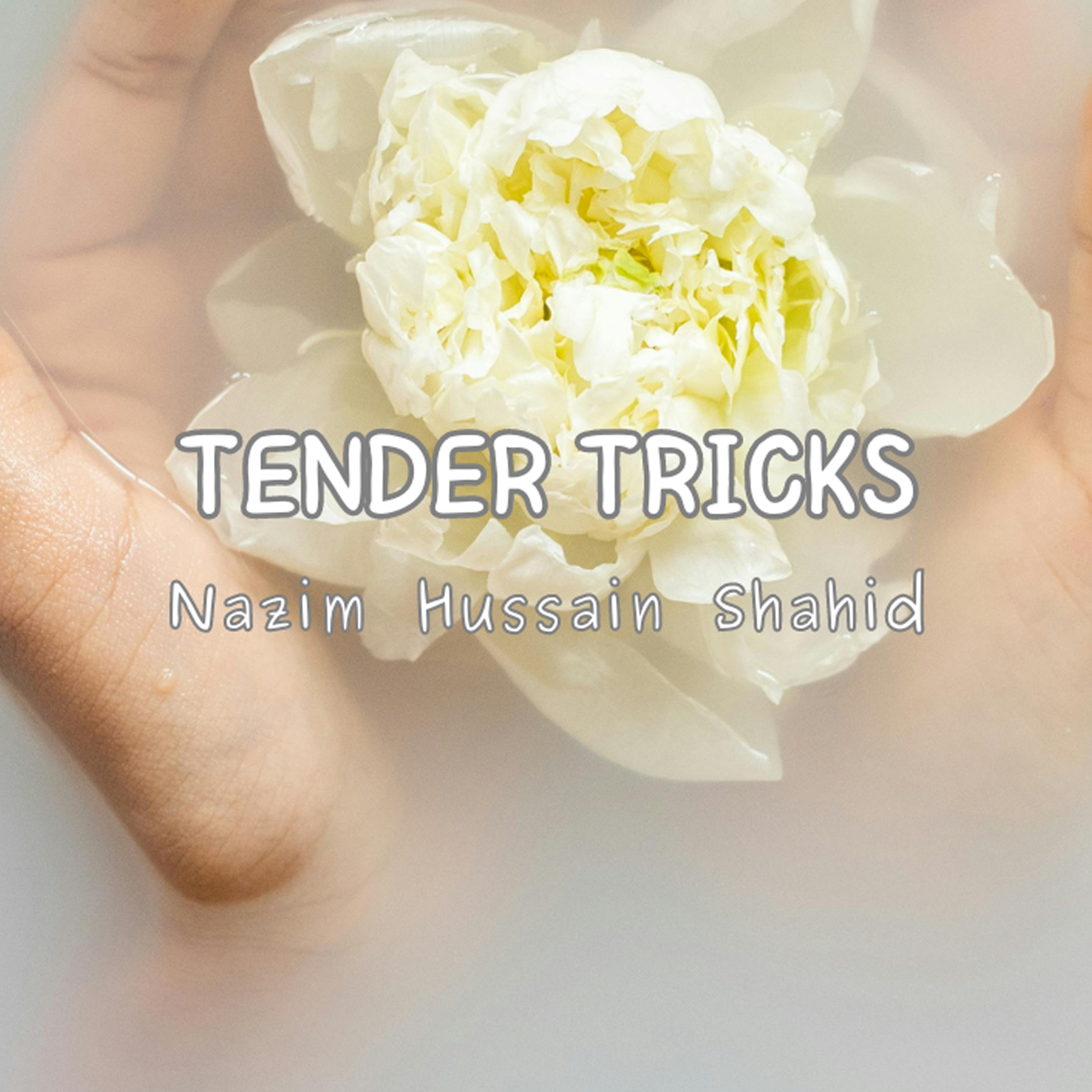 Tender Tricks artwork