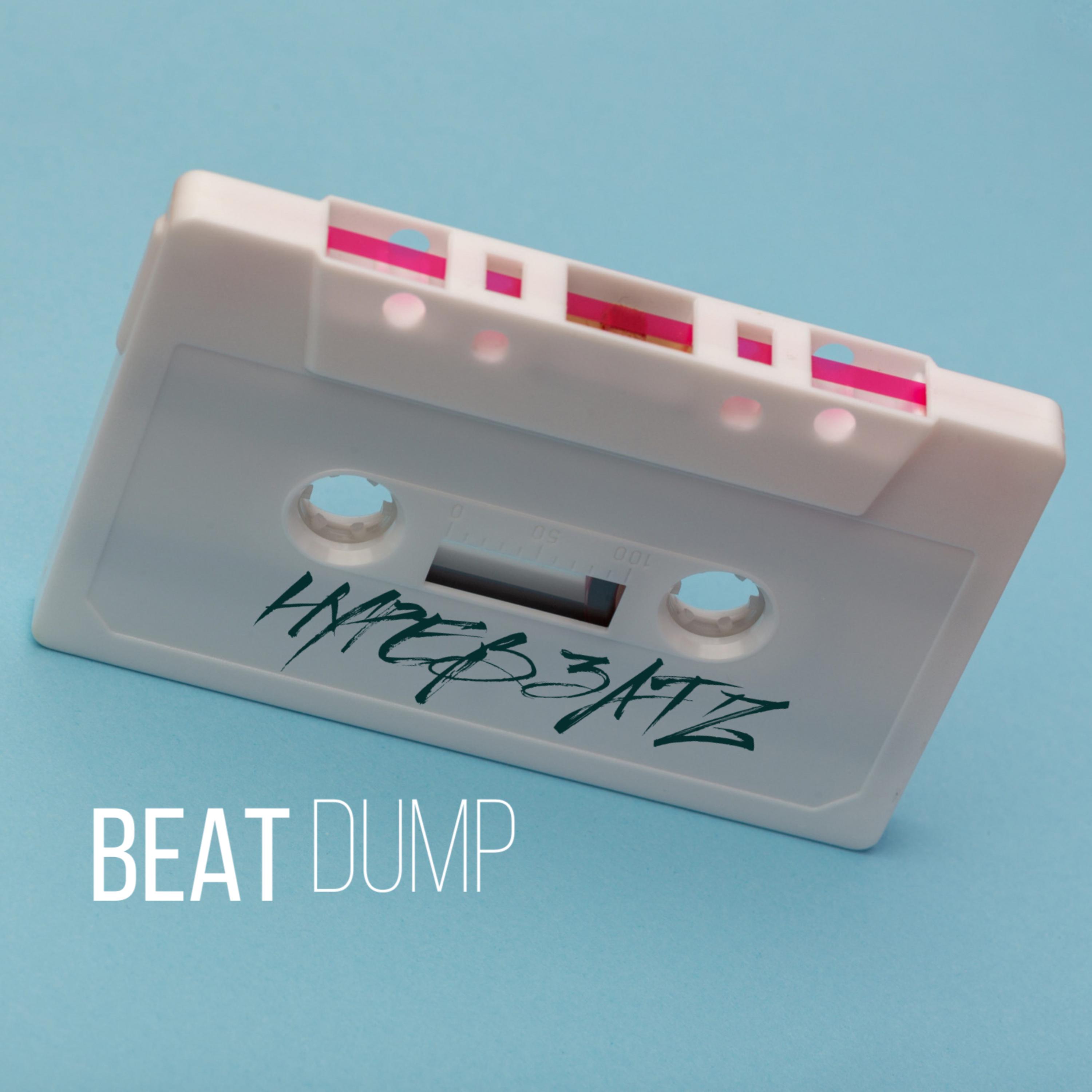 Beat Dump artwork