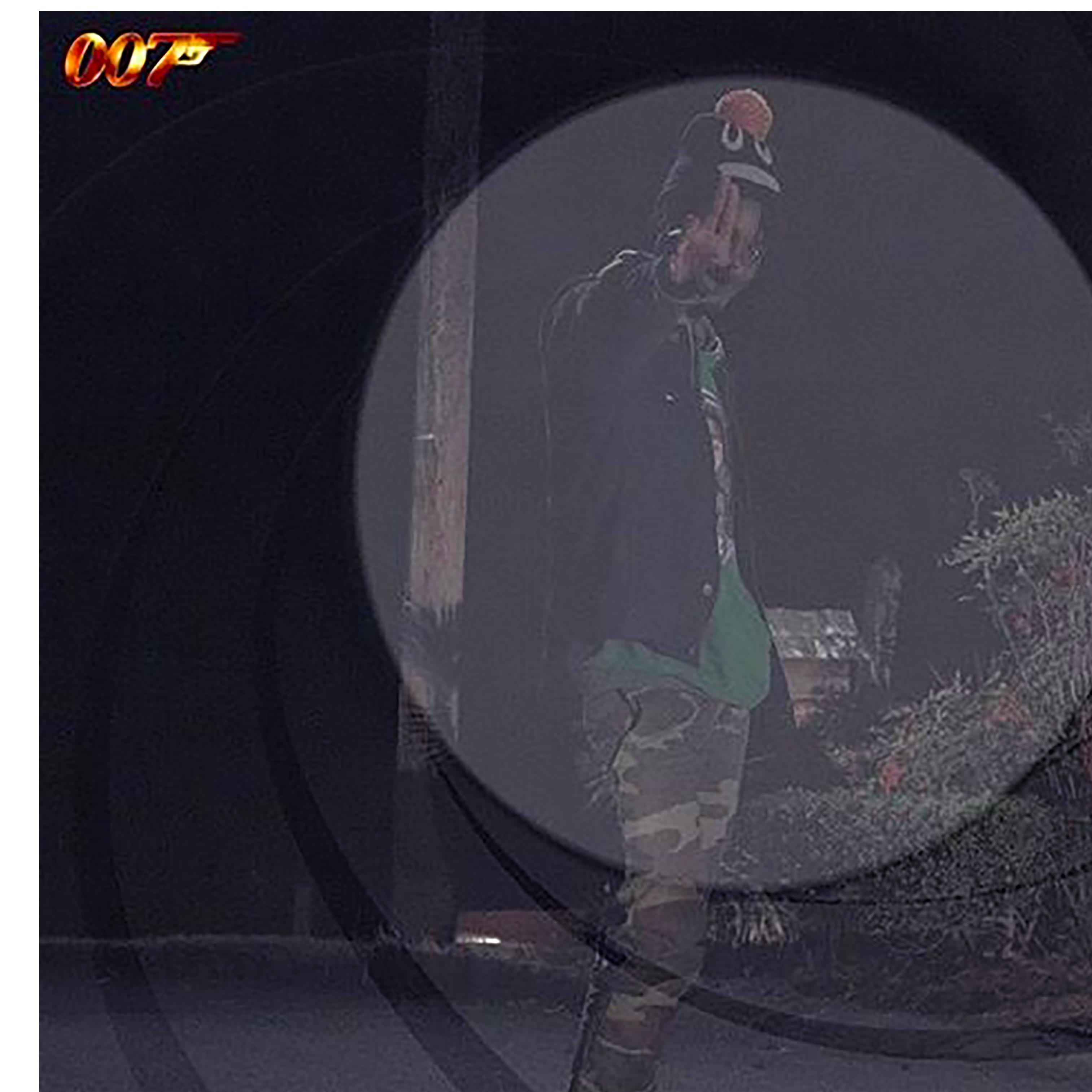 007 artwork