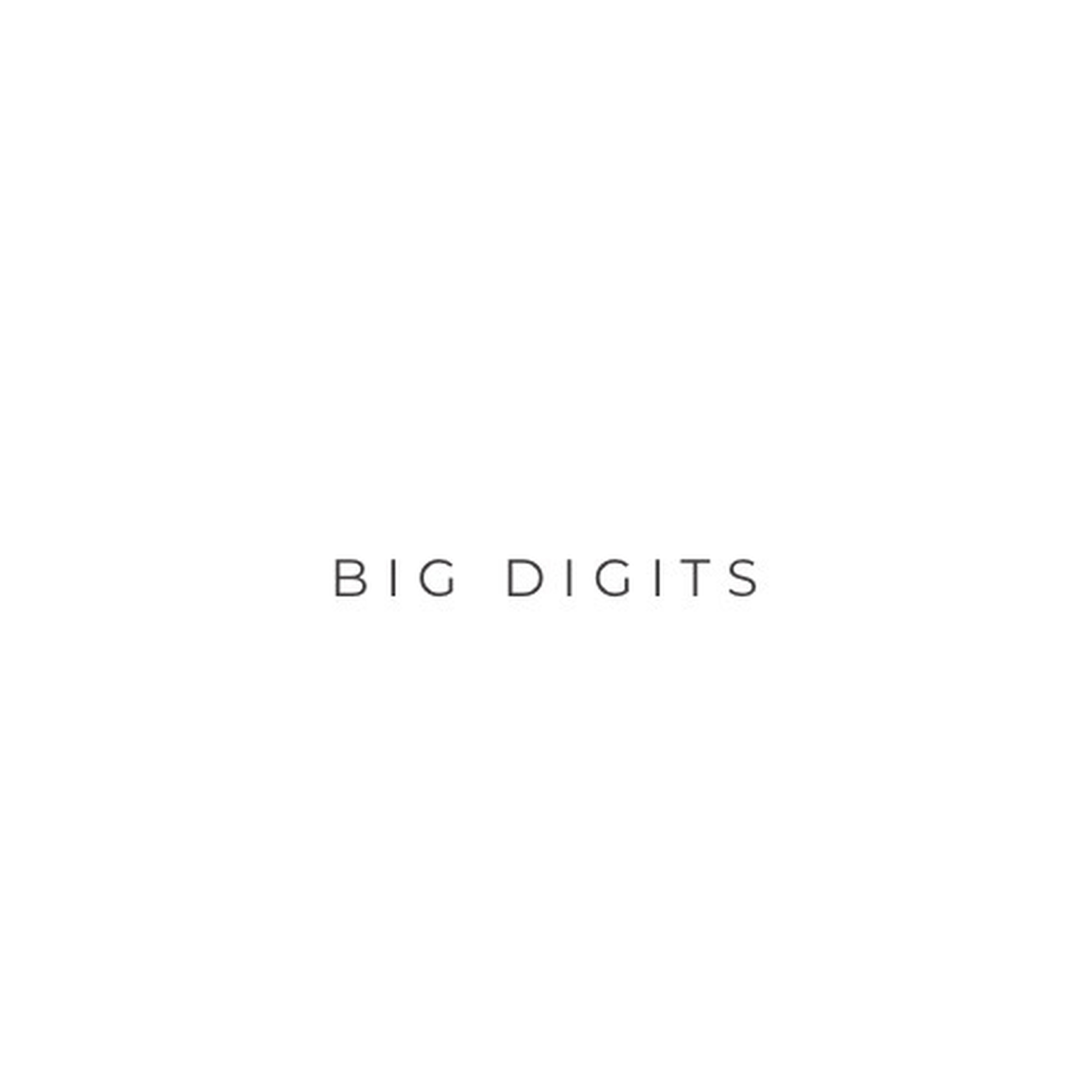 Big Digits artwork
