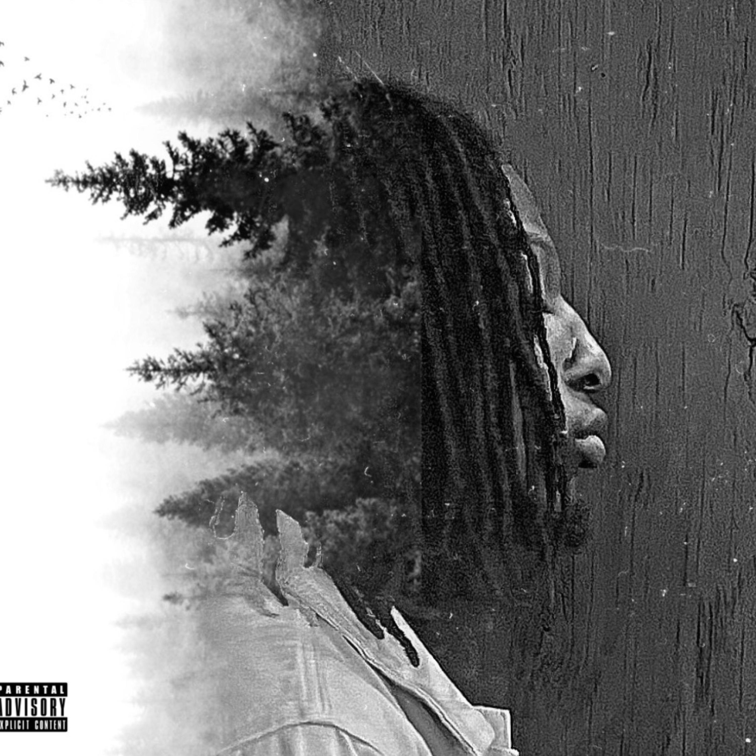 Stay artwork