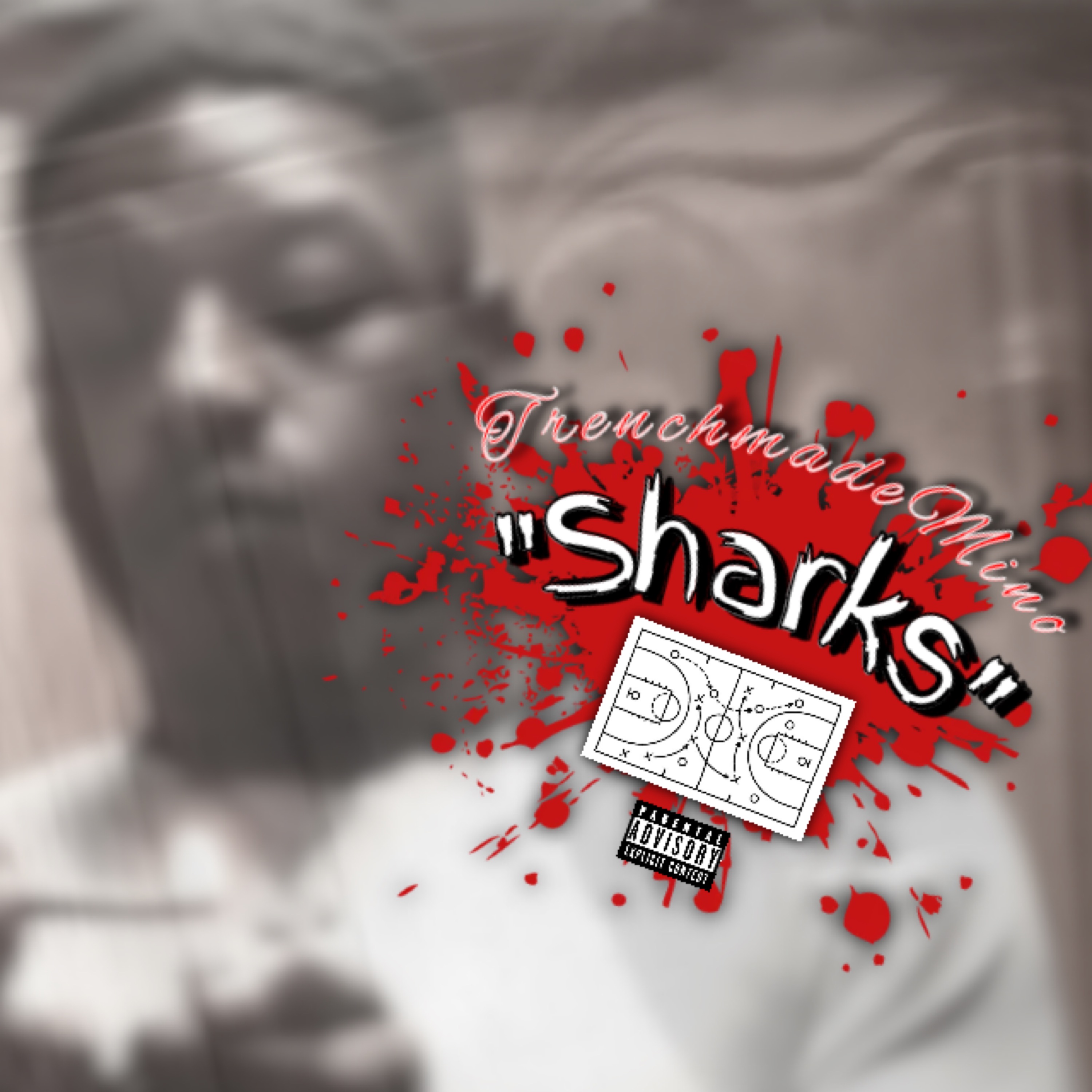 Sharks artwork
