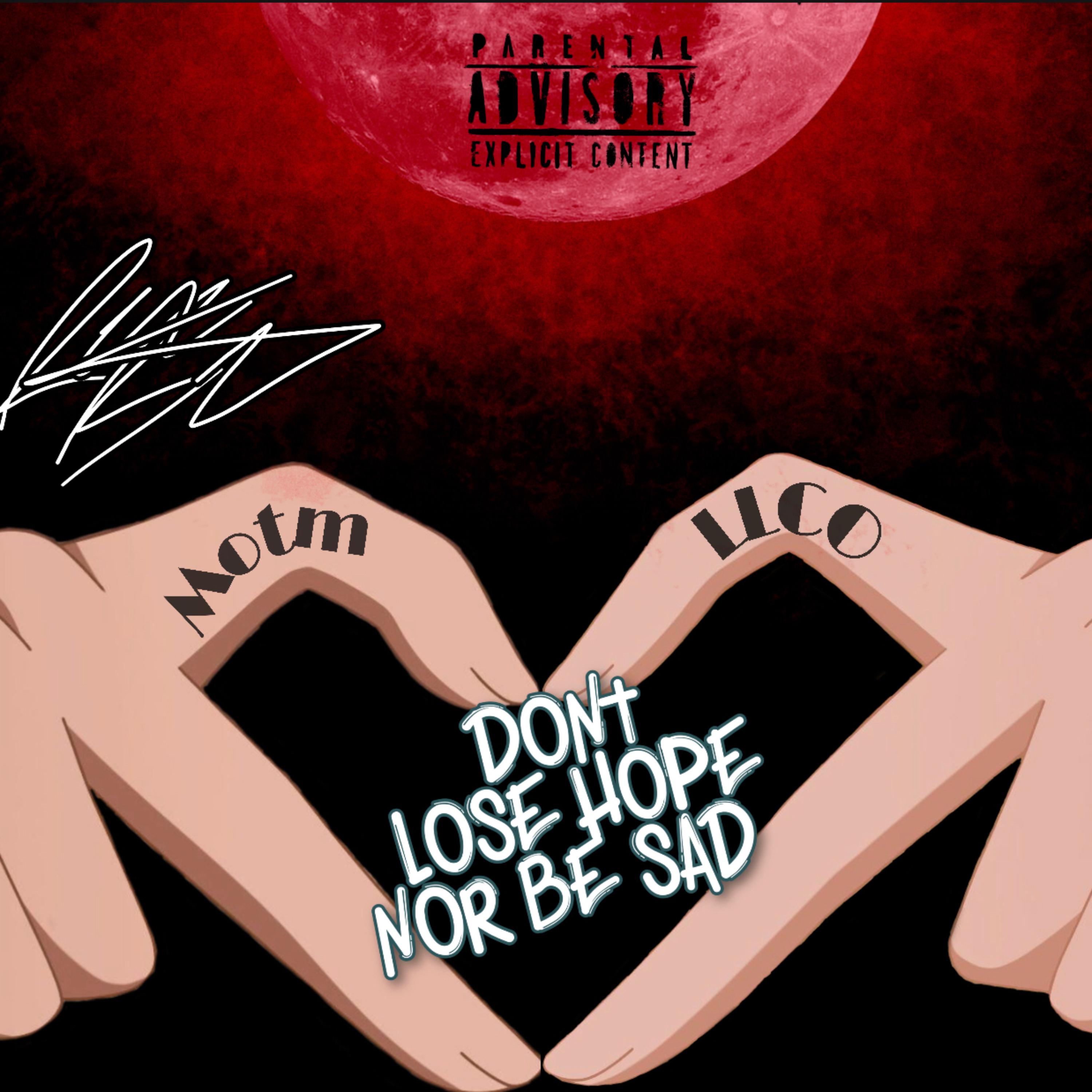 Dont Lose Hope Nor Be Sad artwork