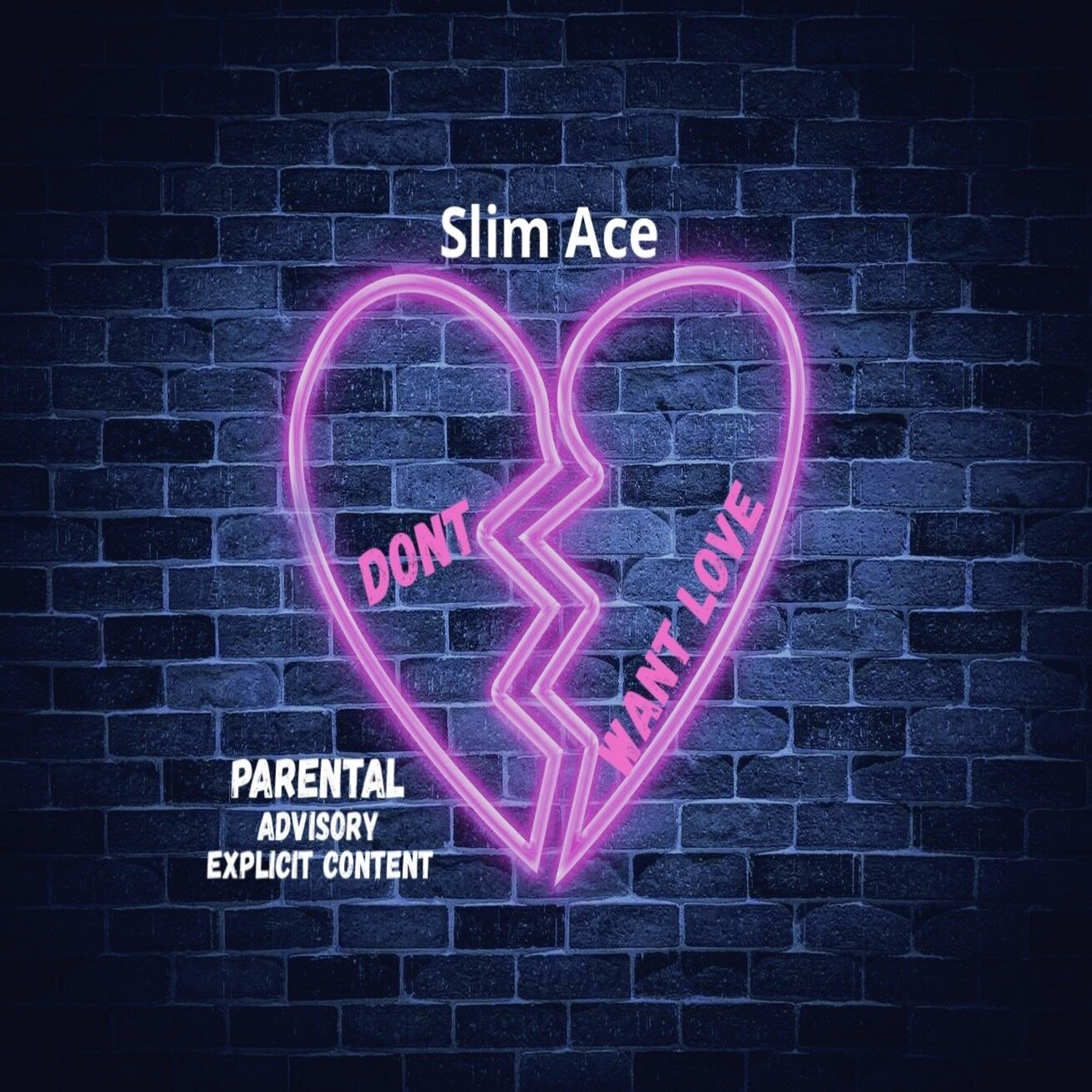 Don’t Want Love by Slim Ace cover art