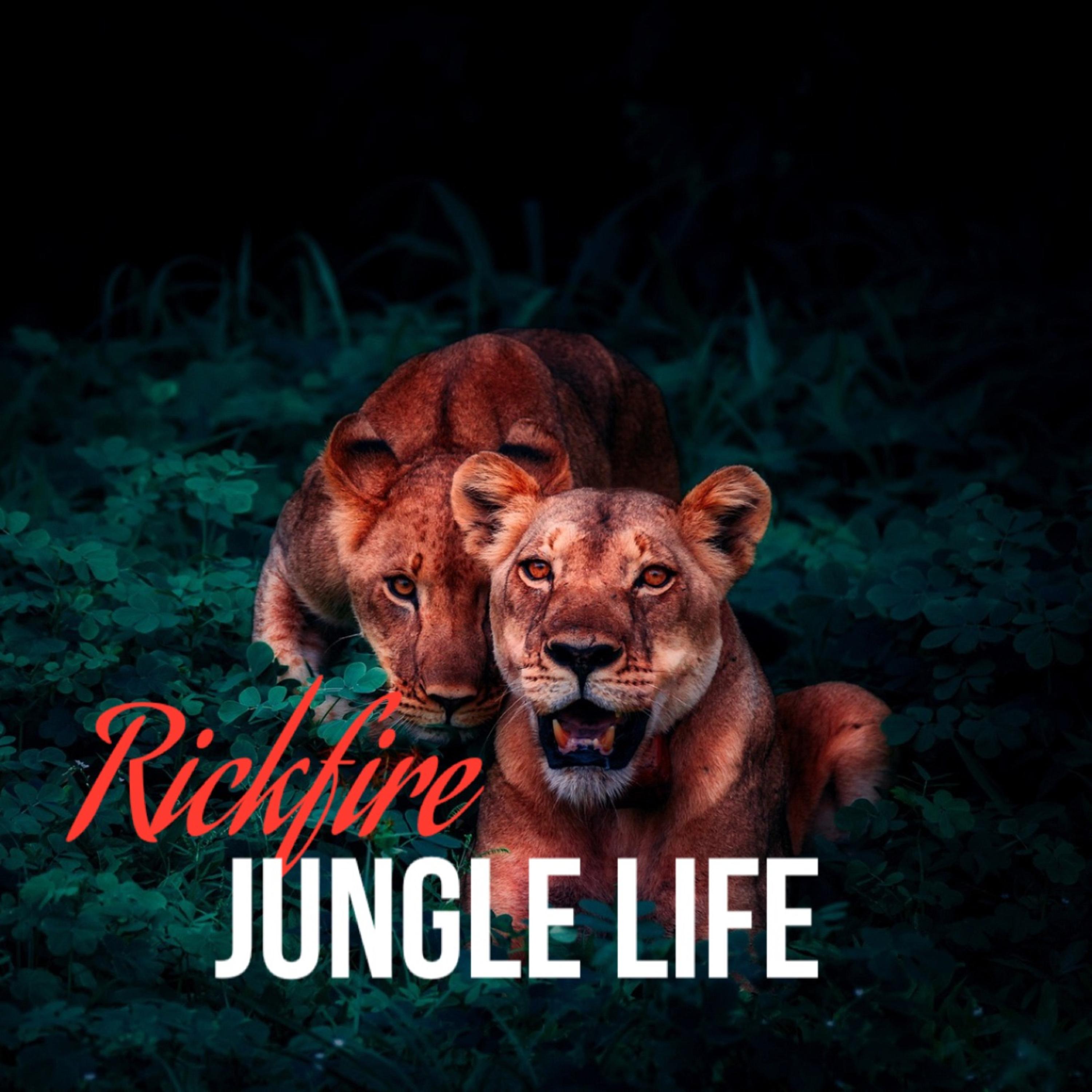 Jungle Life artwork