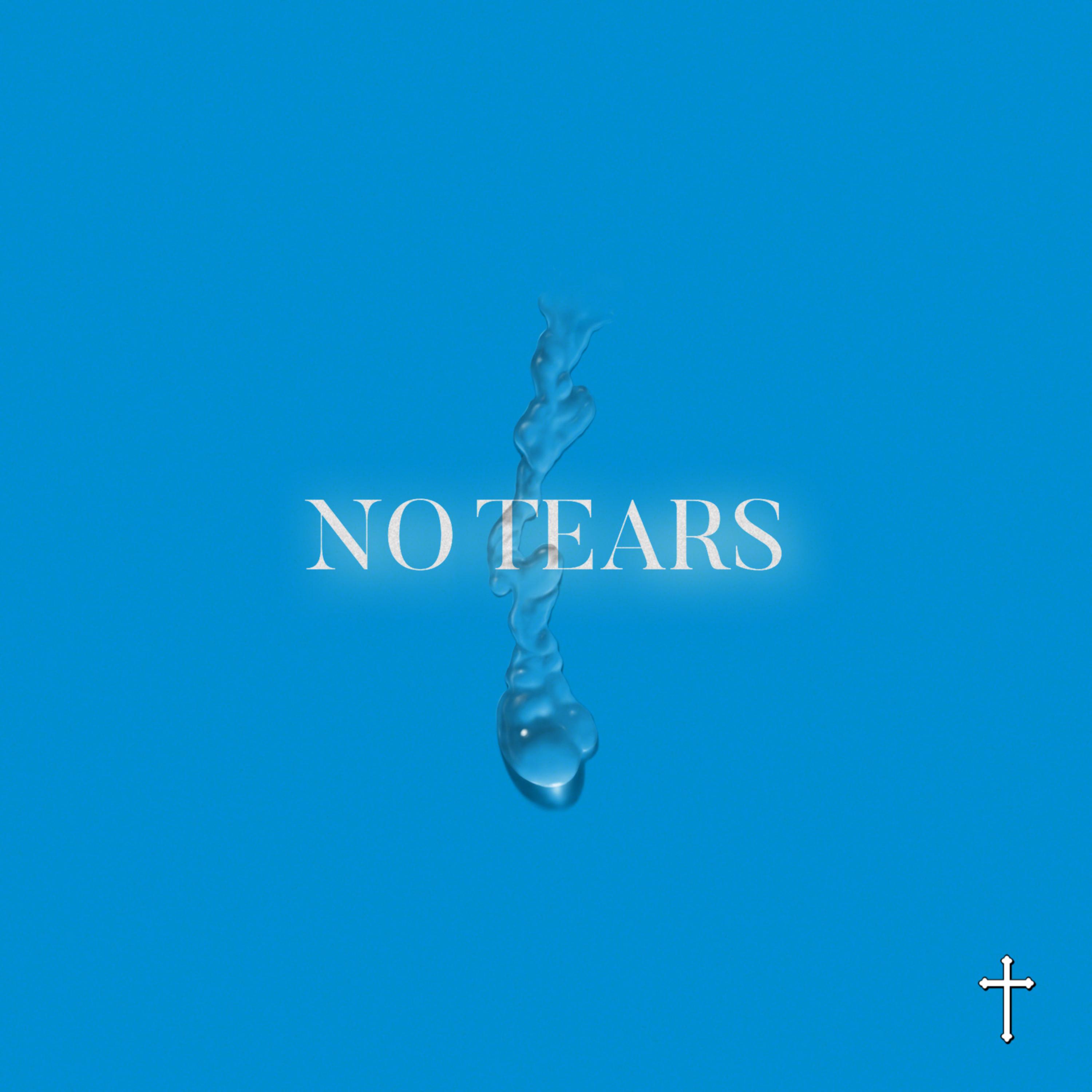 No Tears artwork