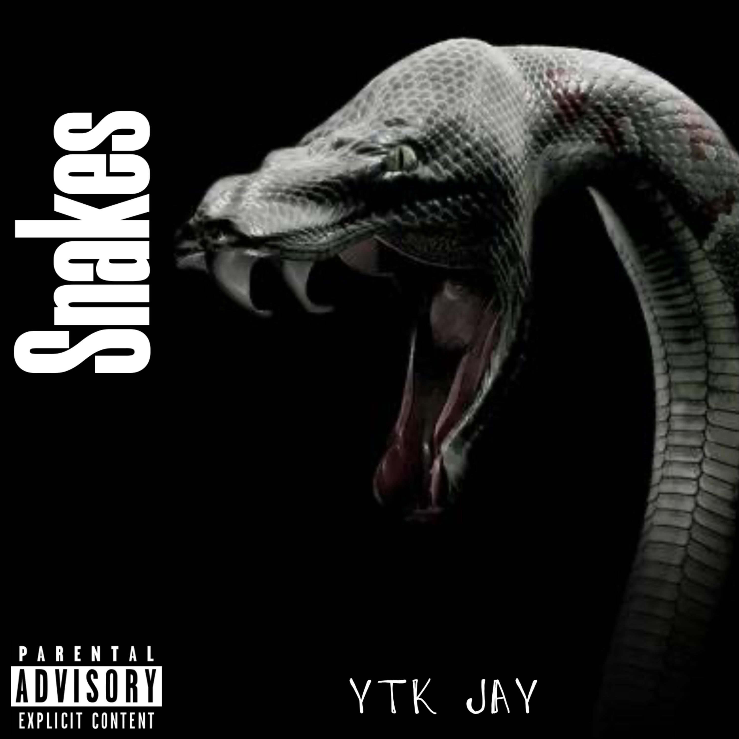 Snakes artwork