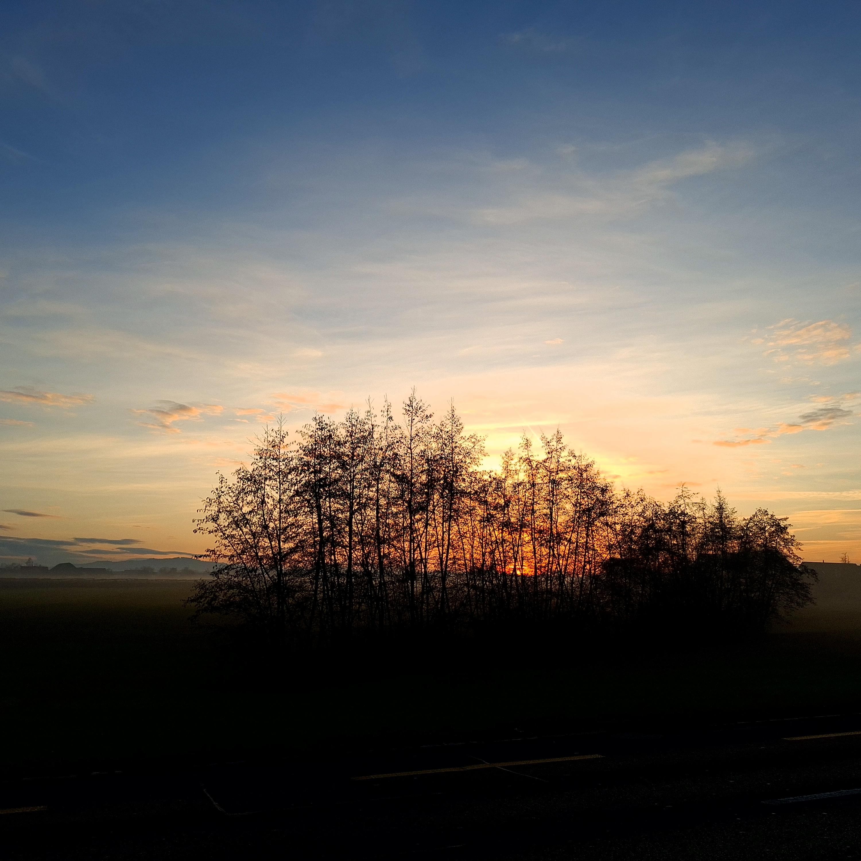 Evening Glow artwork