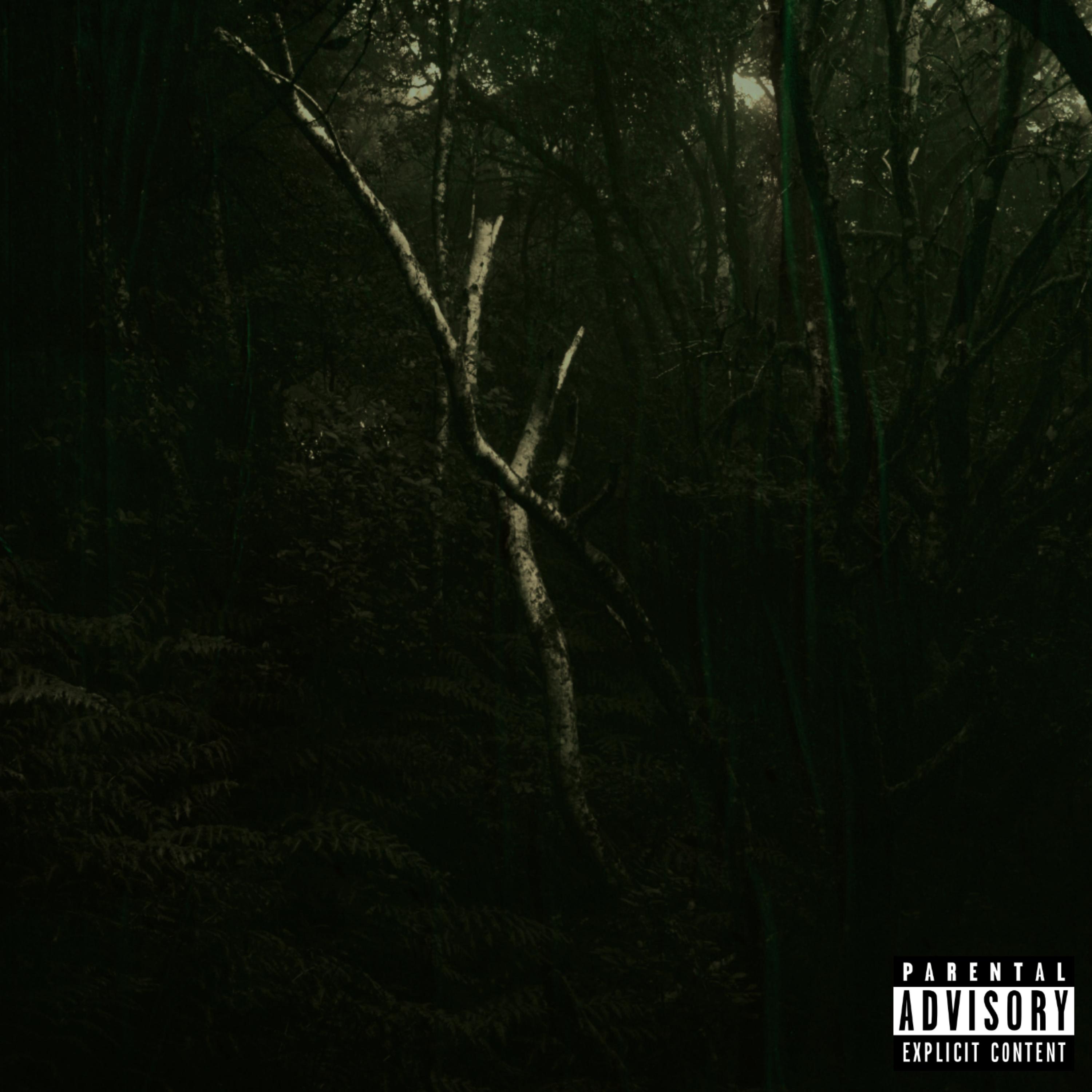Pain & Pleasure artwork