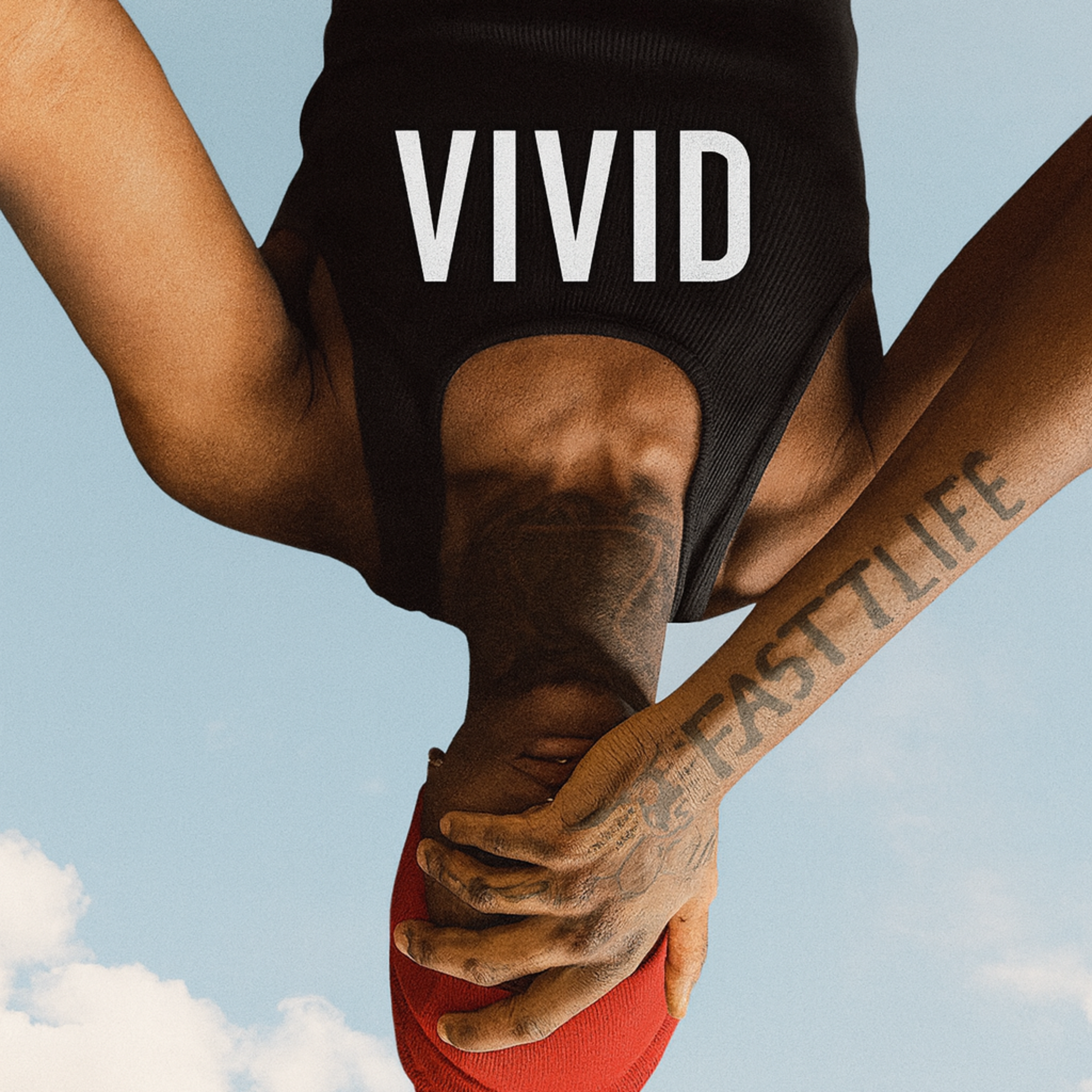 Vivid artwork