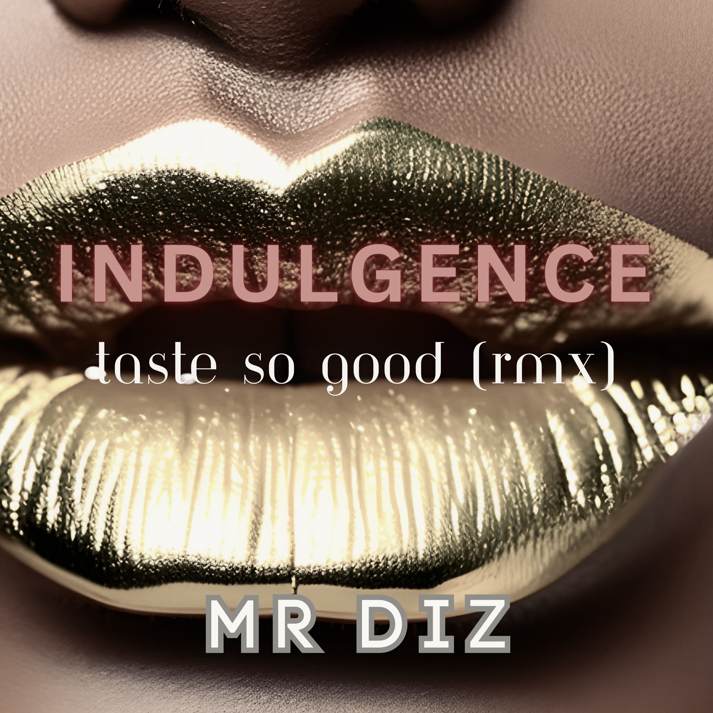 Indulgence (taste so good) (Rmx) by Mr Diz cover art