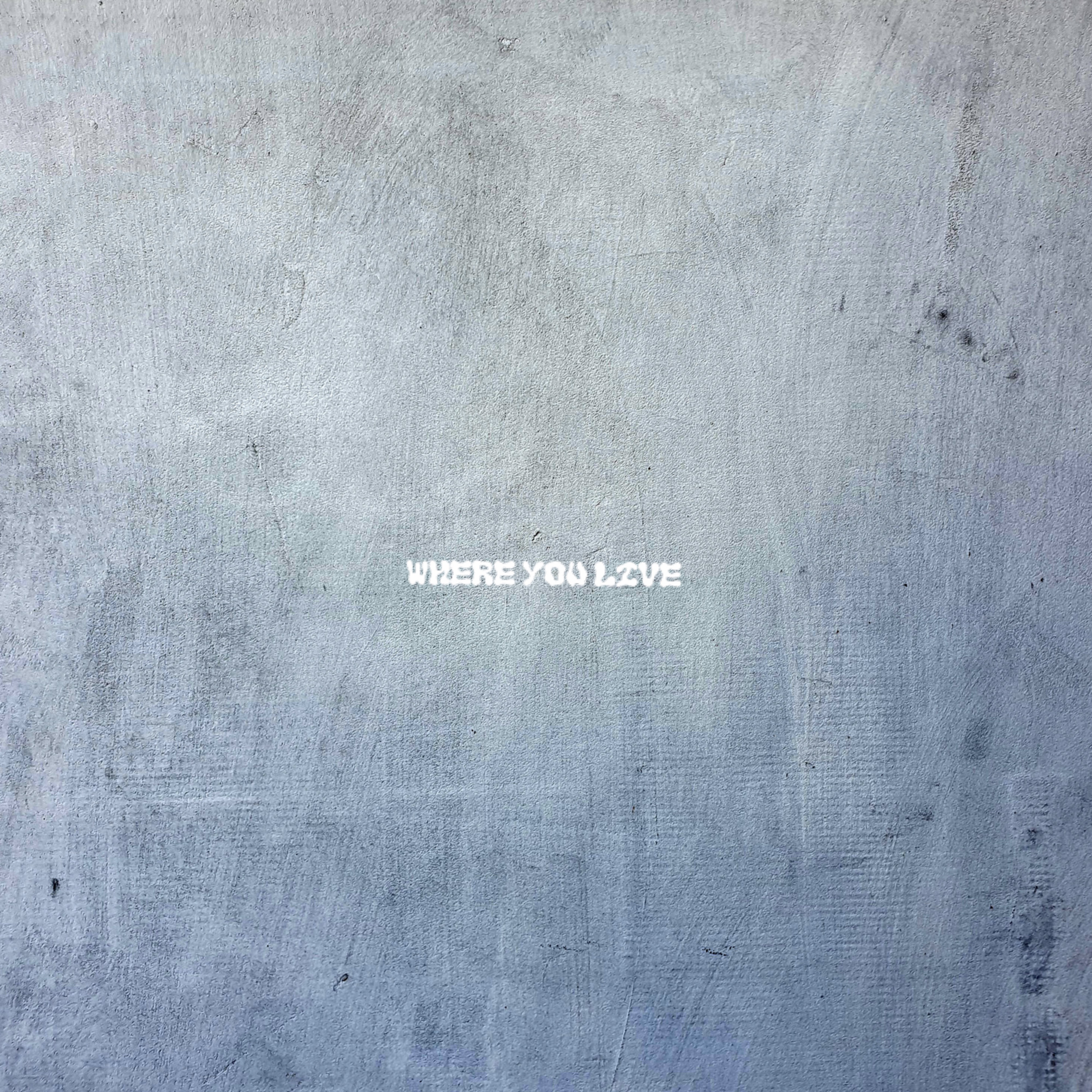 Where You Live (Instrumental) artwork