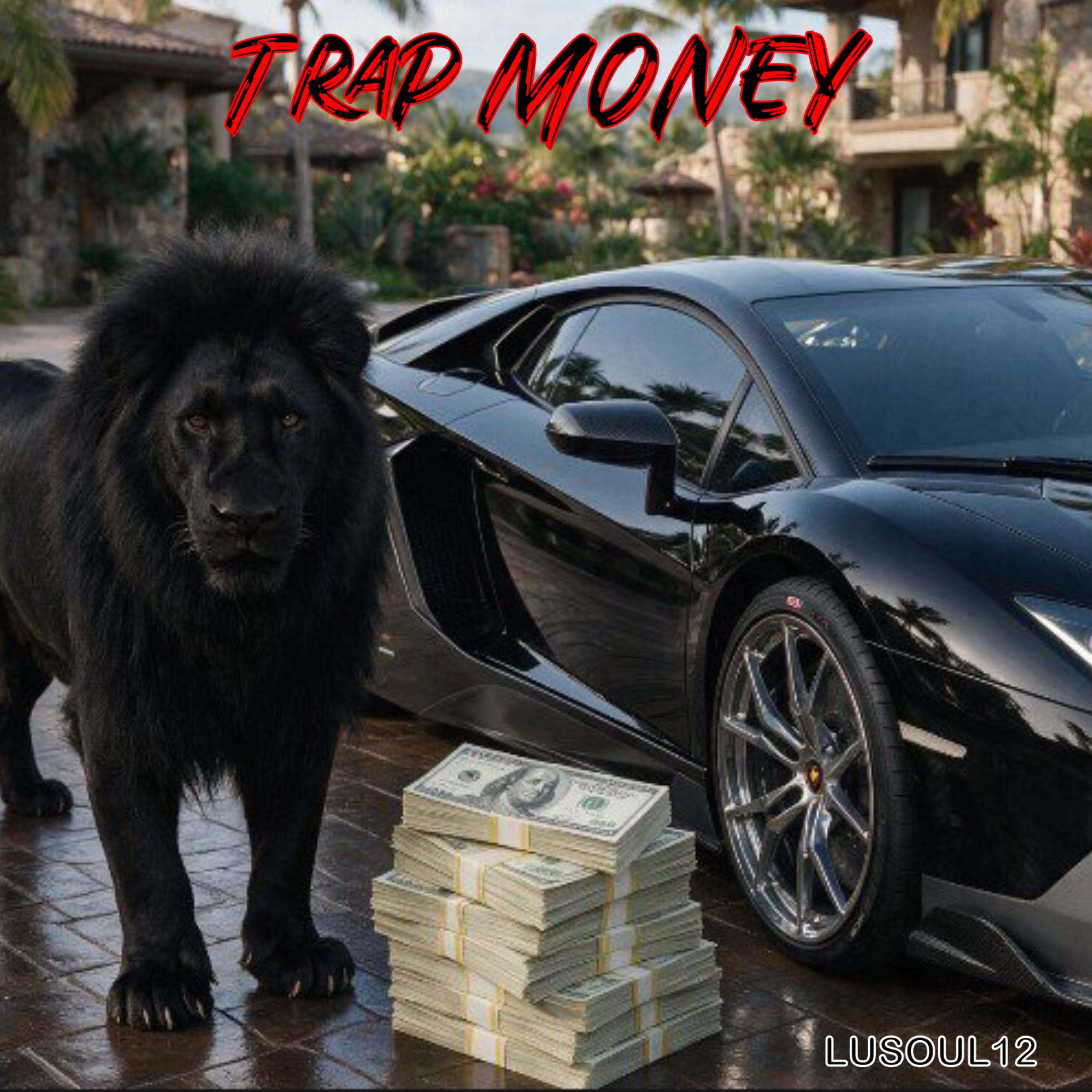 TRAP MONEY by Lusoul12 cover art