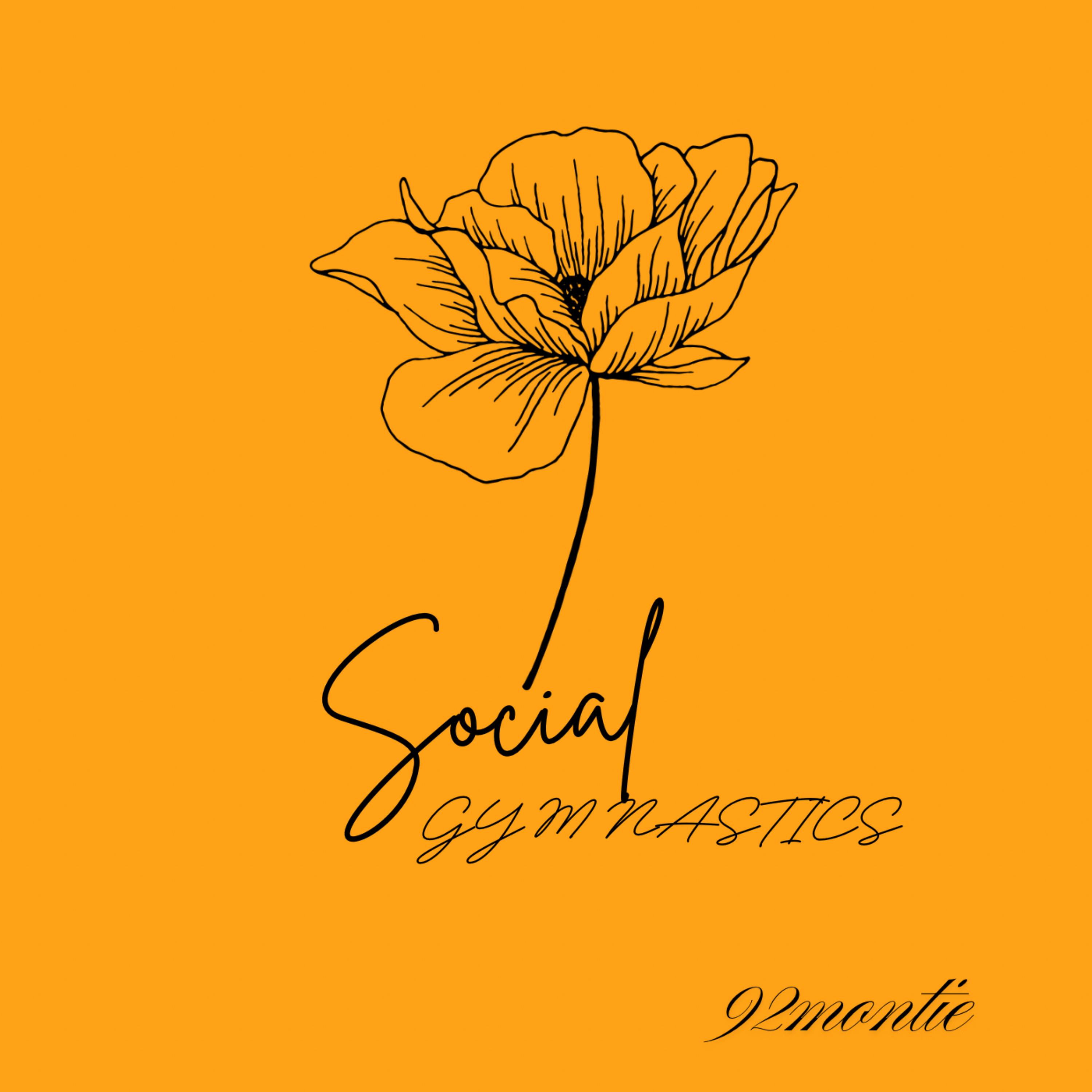 Social Gymnastics artwork