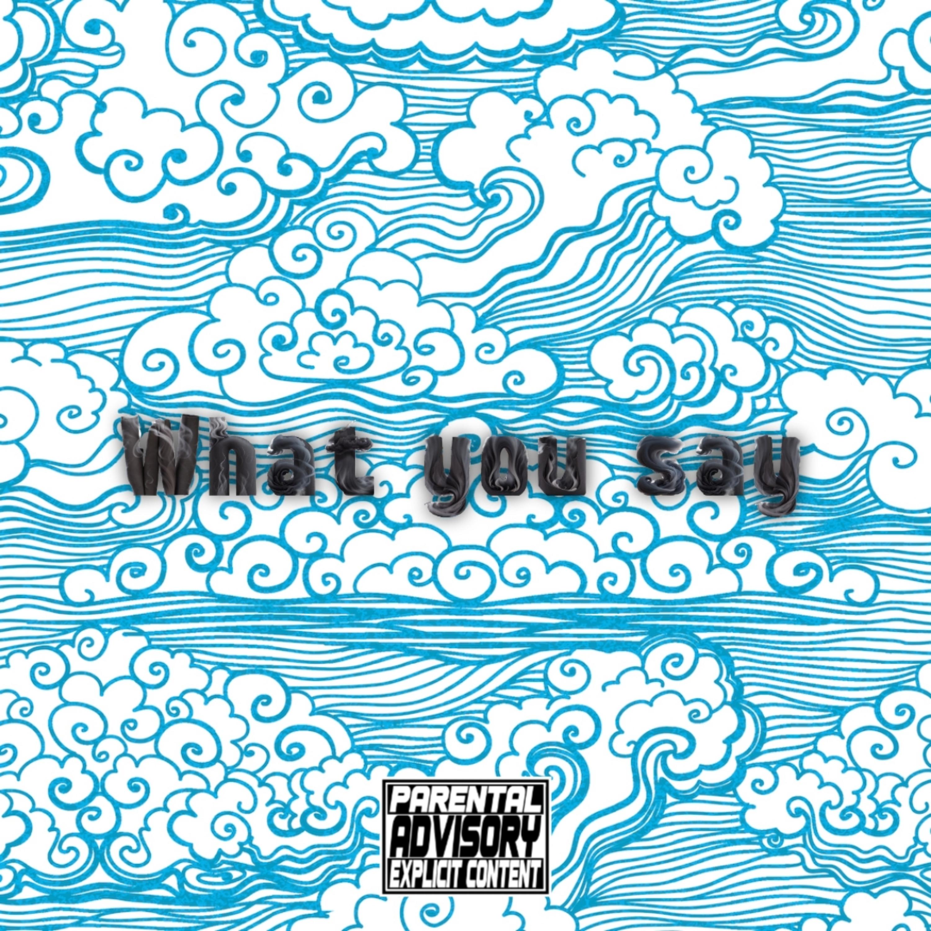 WHAT YOU SAY artwork