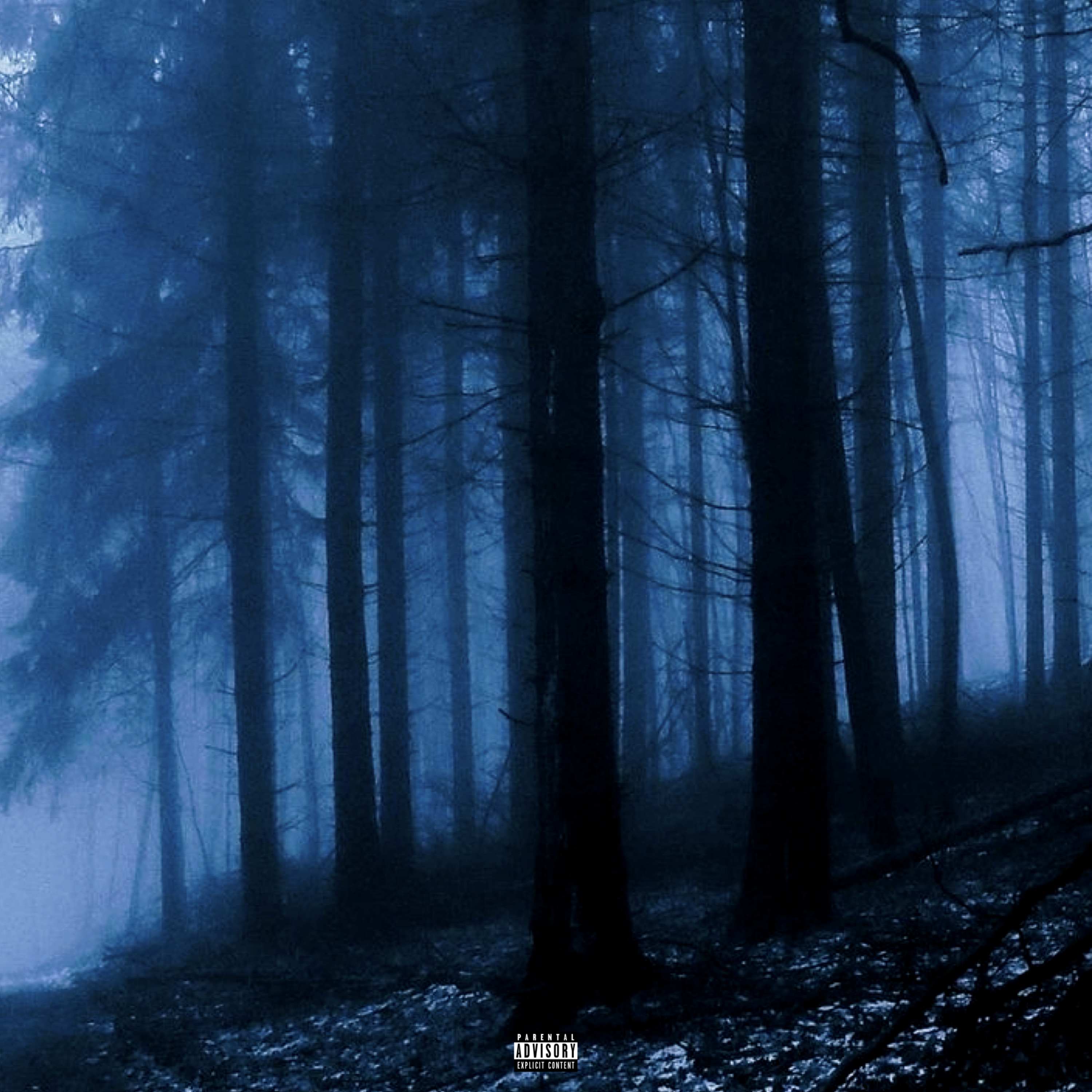 Way You Move x Knoya artwork