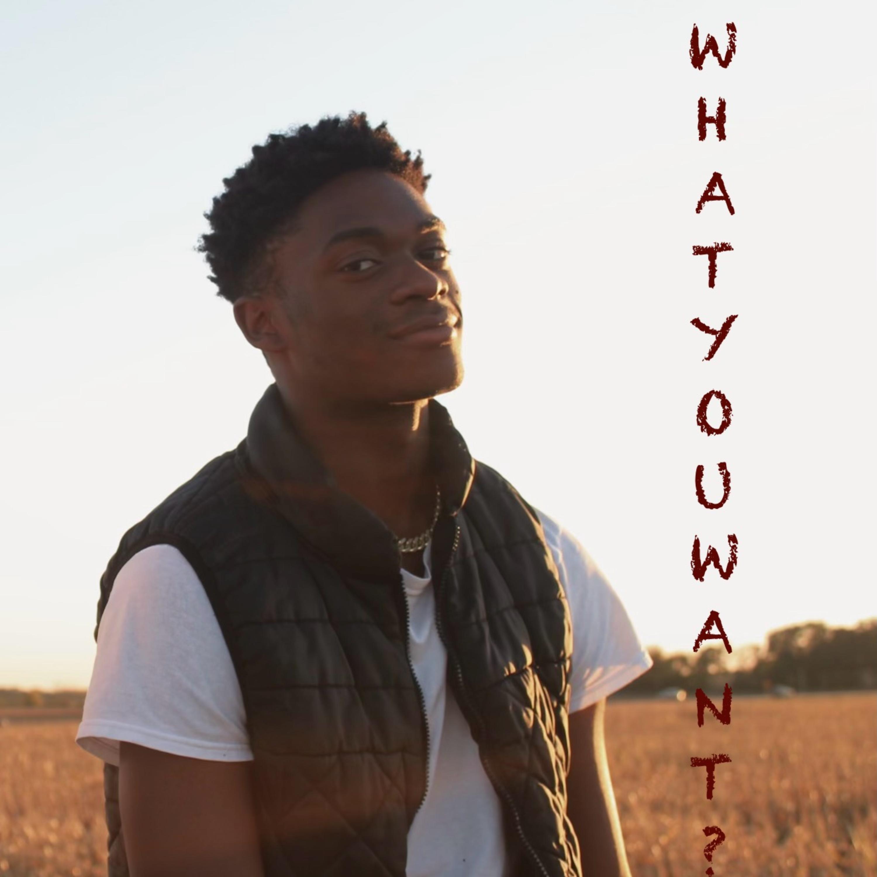 What You Want? artwork
