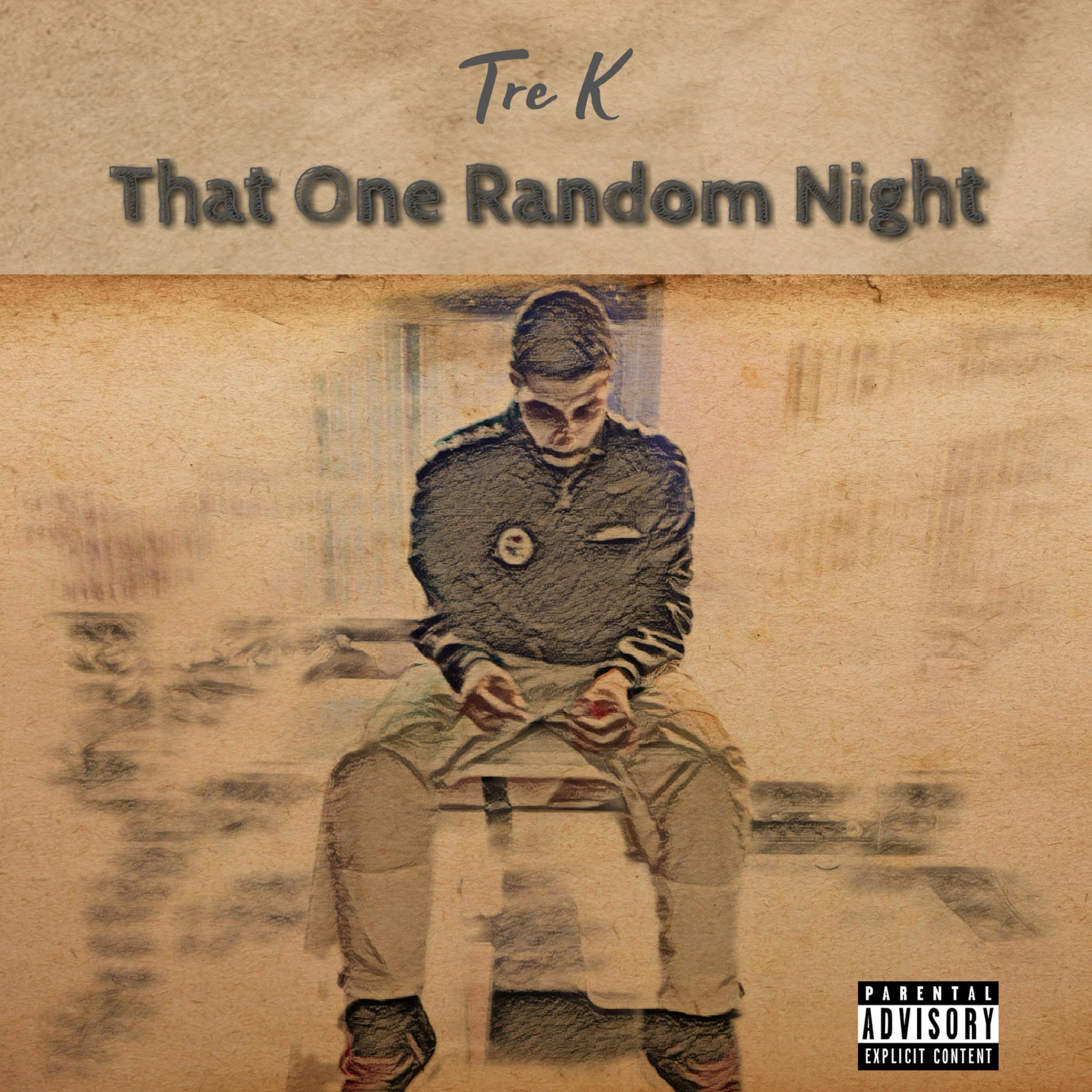 That One Random Night artwork