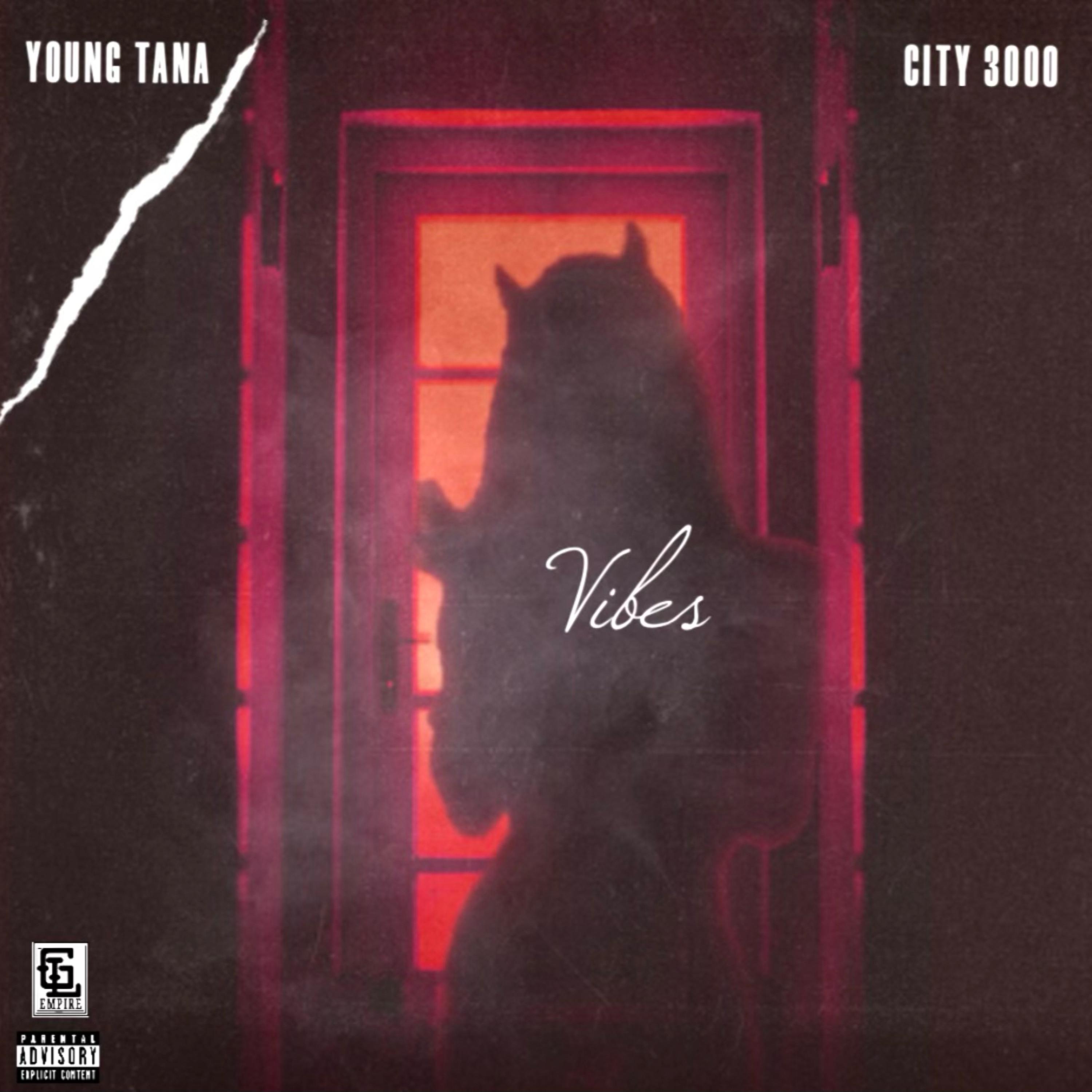 VIBE FEATURE CITY 3000 artwork