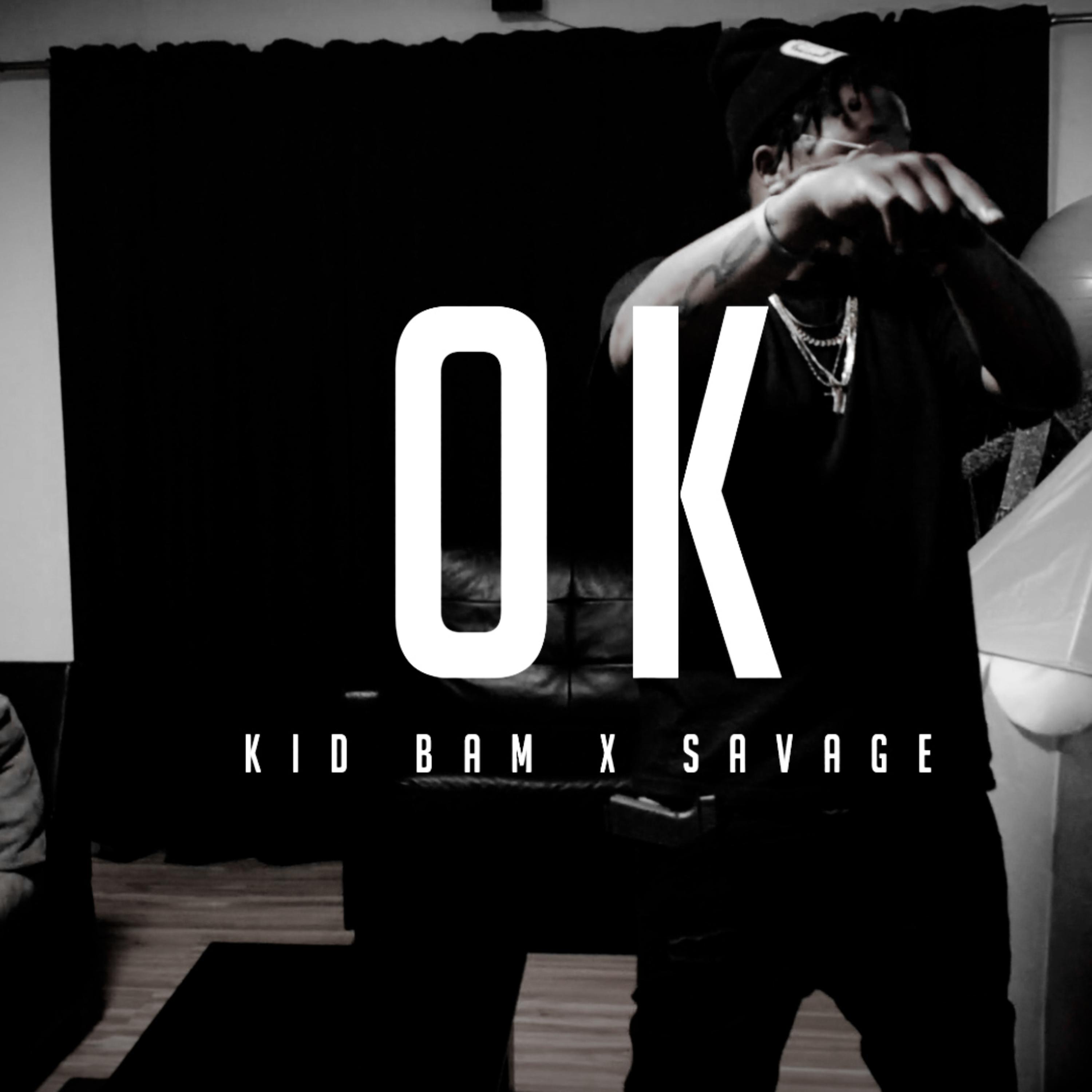 Ok by SavageDoDamage cover art