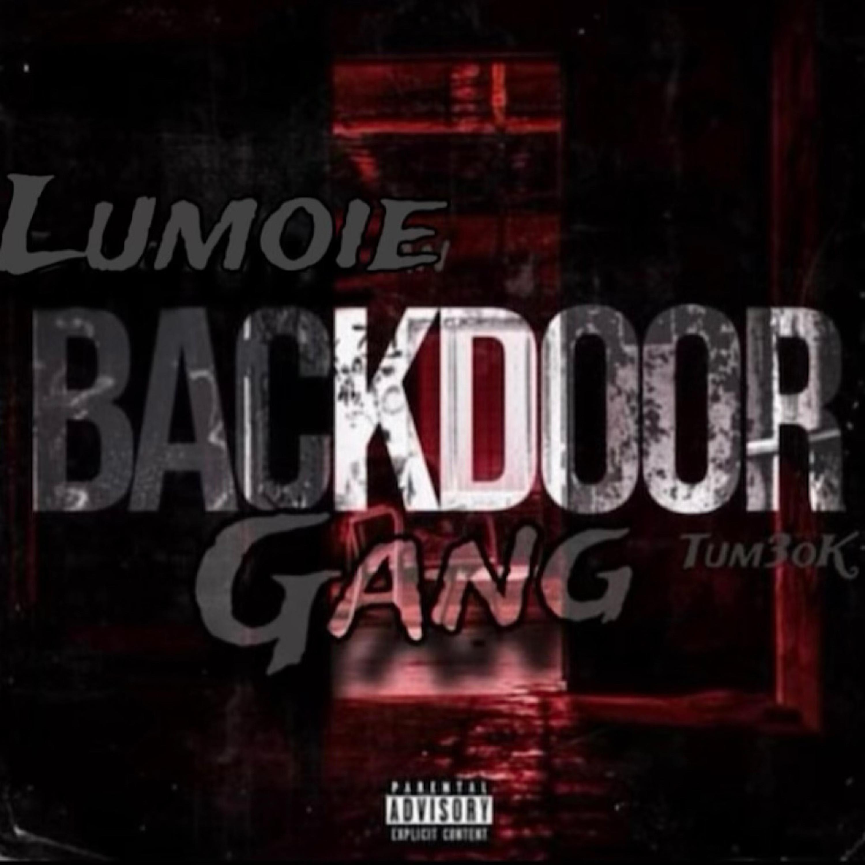 Back Door Gang artwork