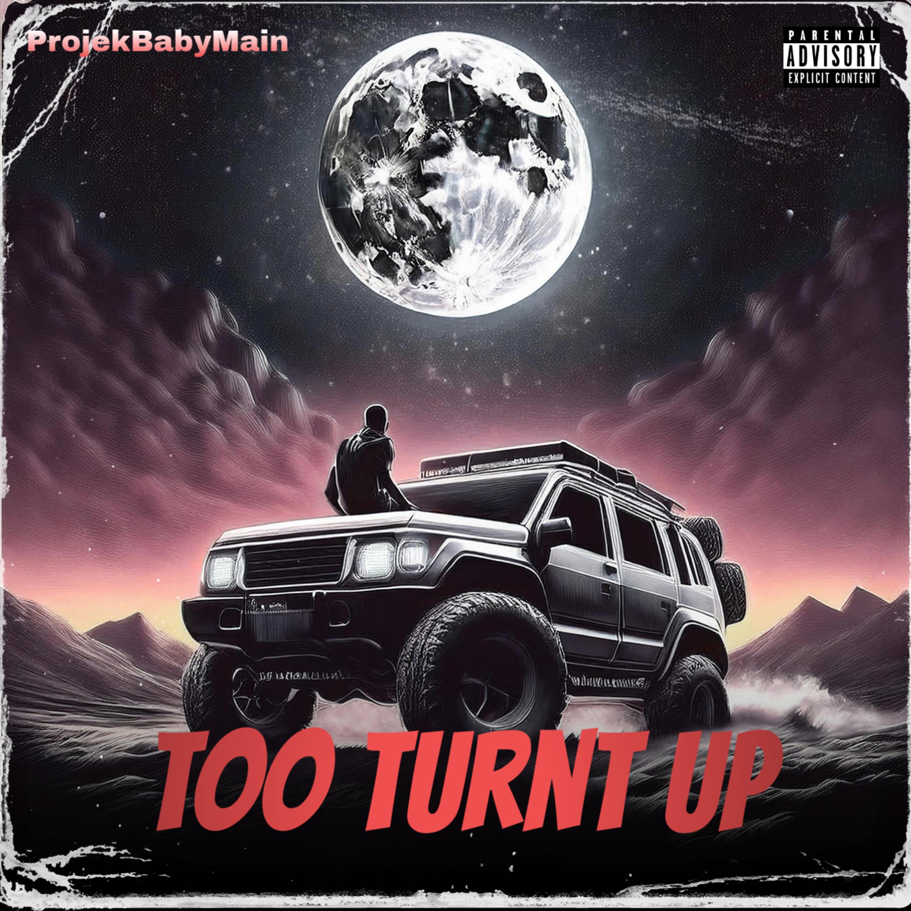 Too Turnt Up artwork
